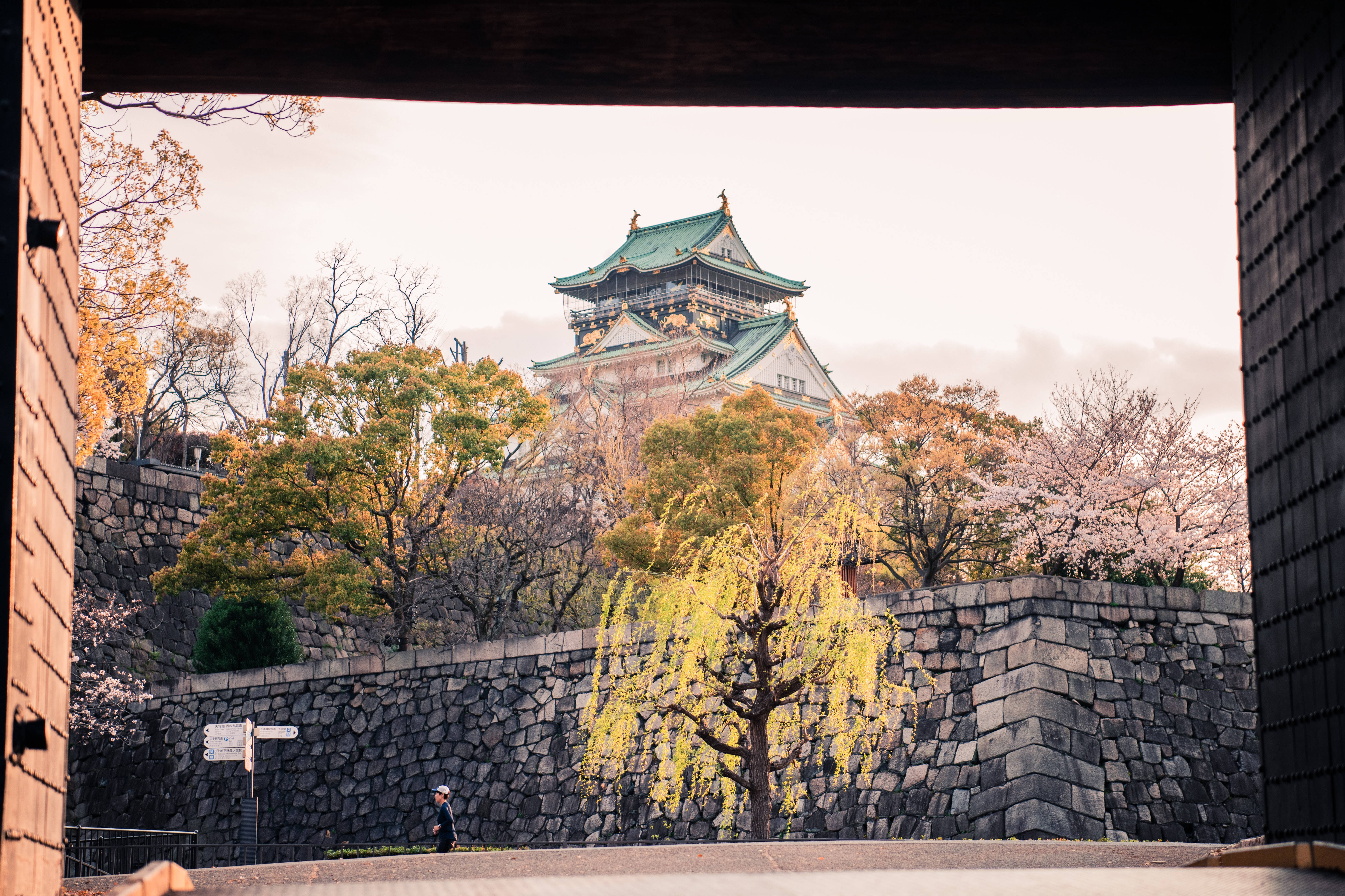 Osaka Castle 桌布 壁紙 — 一座歷史悠久的日本城堡，在柔和的金色光線下，被秋天的樹木和石牆環繞。