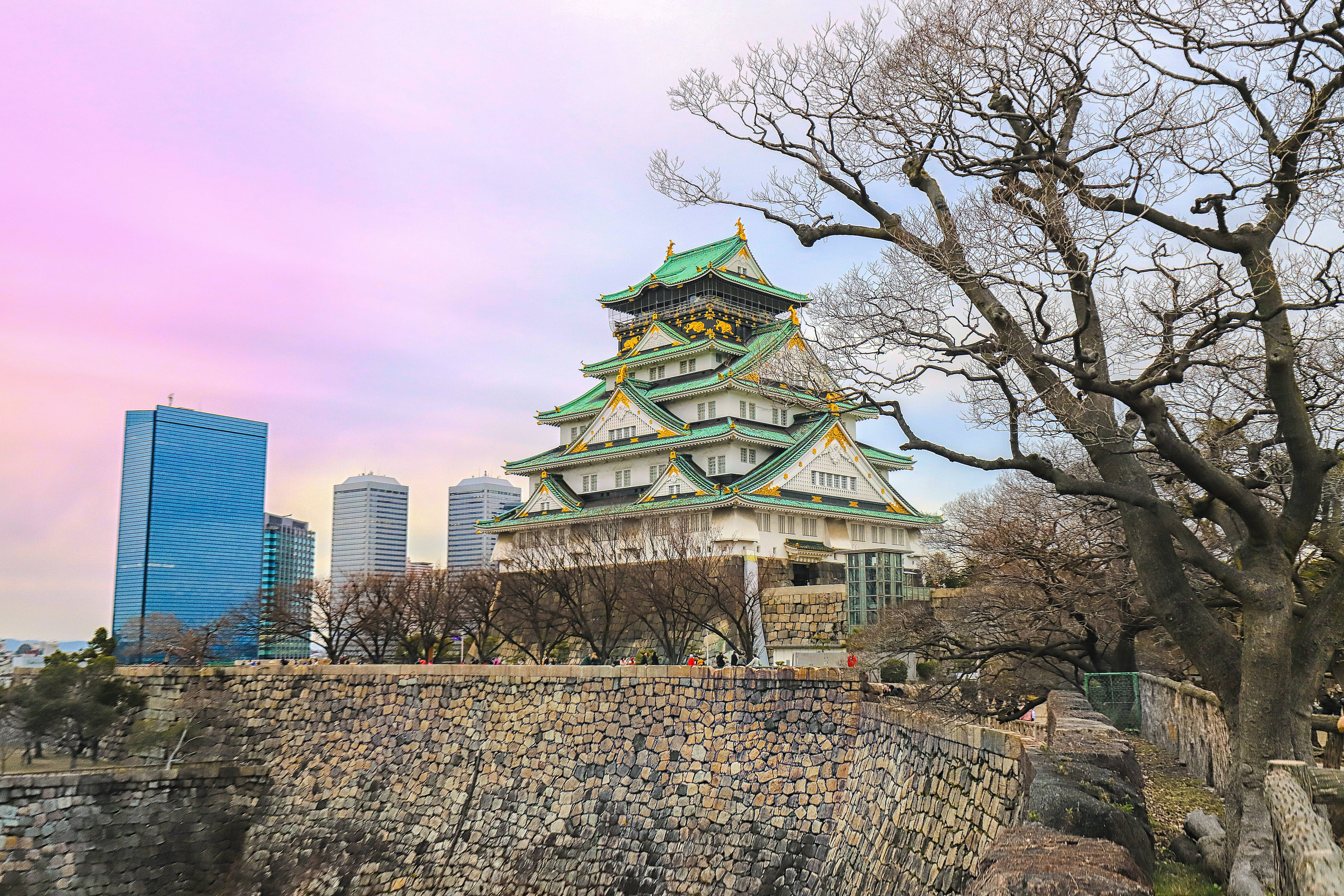 Osaka Castle 桌布 壁紙 — 一座歷史悠久的日本城堡，綠色屋頂在粉紅色天空下聳立，旁邊是現代摩天大樓和光禿禿的樹木。