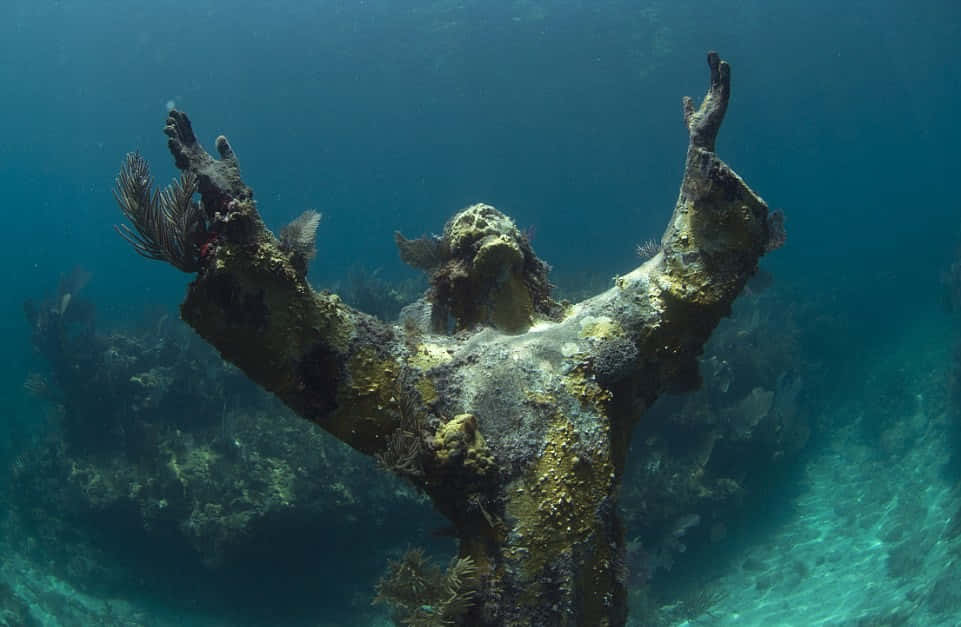 Underwater Scary Ocean 桌布 壁紙 — 一座水下雕像伸出雙臂，被珊瑚和海洋生物覆蓋，在碧綠的海水中閃耀。