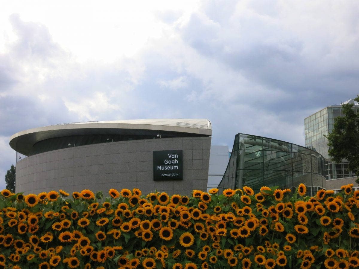 Netherlands 桌布 壁紙 — 一座現代博物館建築，擁有彎曲的灰色外牆和玻璃延伸部分，在陰天天空下，被一片充滿活力的向日葵田所環繞。