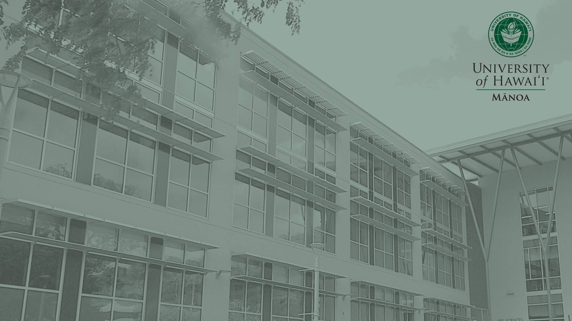 學校 桌布 壁紙 — 一座現代大學建築，配有玻璃窗和懸挑陽台，上方是柔和的綠色天空，左上角有樹枝框景。