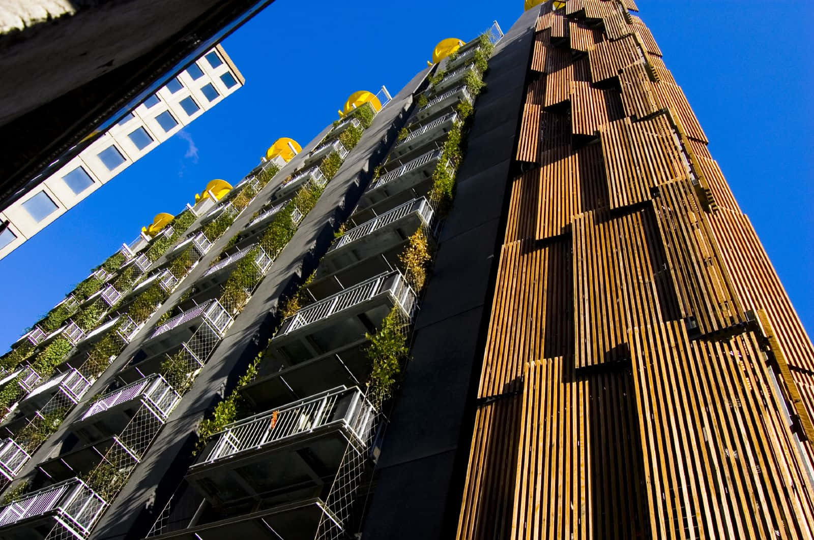 Green Buildings 桌布 壁紙 — 一座現代摩天大樓，帶有木條和綠色陽台，在清澈的藍天下高聳入雲。