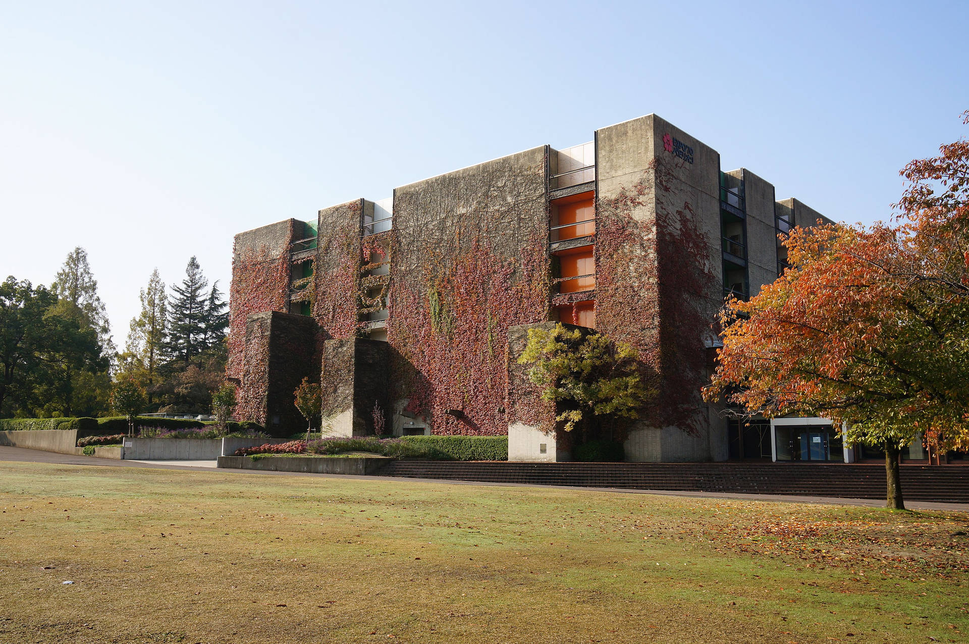 現代建築，帶有紅色藤蔓和秋季樹木，位於草地田野中。 — 大阪 壁紙