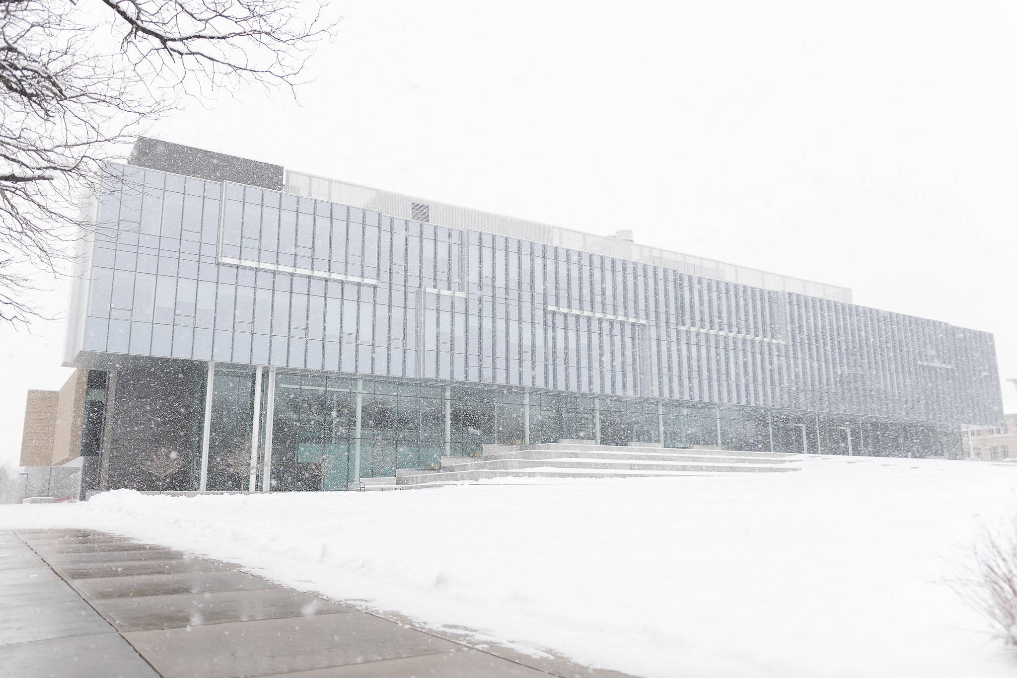 Building 桌布 壁紙 — 一座現代玻璃建築在暴雪中被白雪覆蓋，光禿的樹枝框住了整個場景。