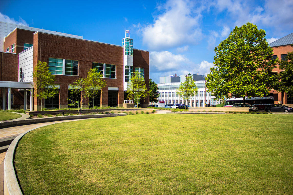 Grass 桌布 壁紙 — 一座現代磚砌大學建築，配有玻璃窗，矗立在明亮的藍天下，白雲朵朵，周圍環繞著綠色草坪和樹木。