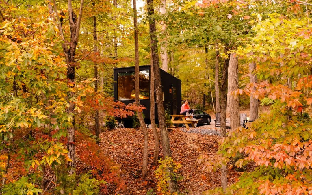 Fall Cabin 桌布 壁紙 — 一座現代黑色小屋坐落在充滿活力的秋日森林中，一個人坐在停泊的汽車旁的野餐桌旁。
