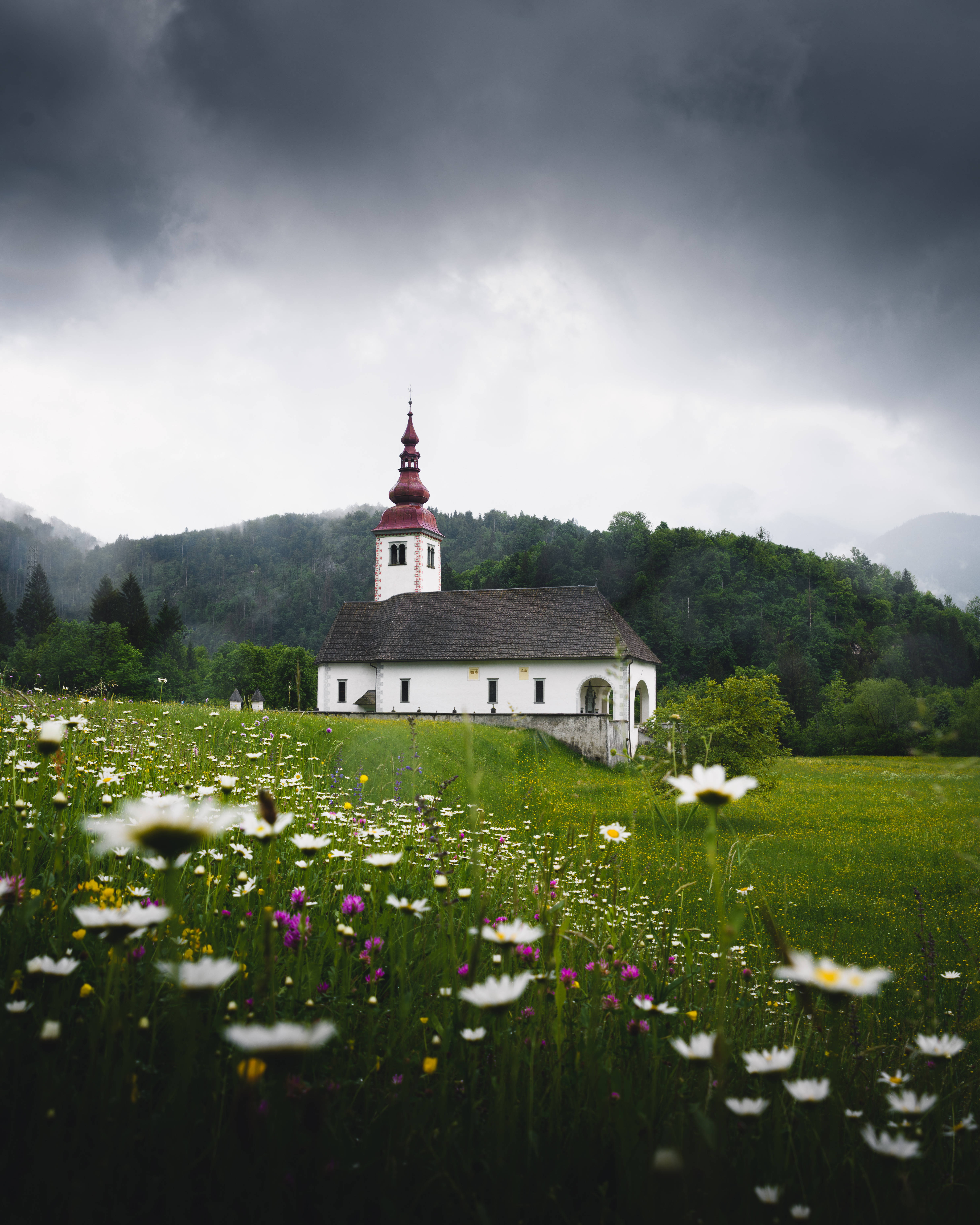Slovenia 桌布 壁紙 — 一座白色教堂，紅色尖頂，莊嚴地矗立在野花草地中，天空陰沉灰暗。