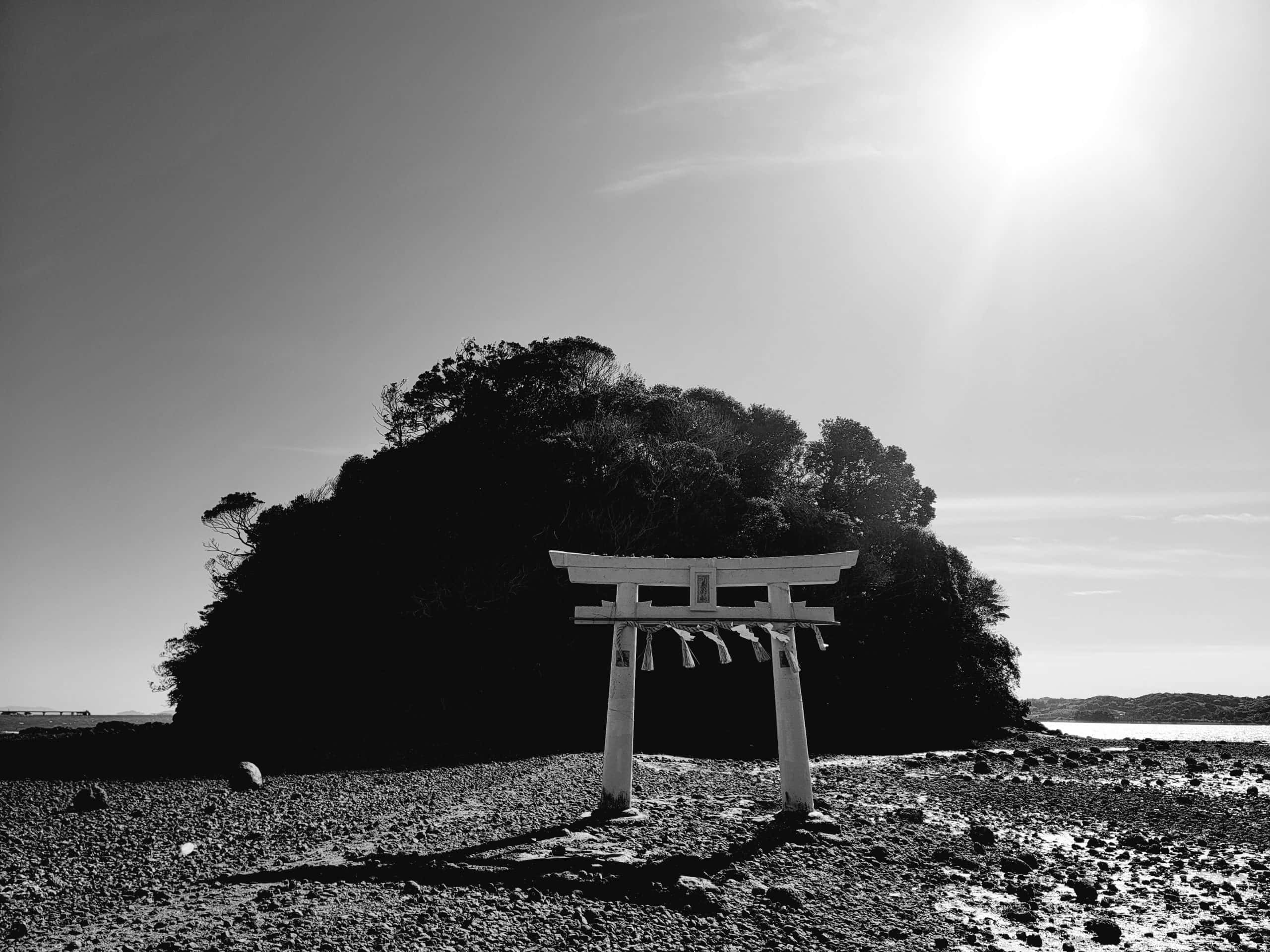日本黑白 桌布 壁紙 — 一座白色的鳥居獨自矗立在岩石海岸上，背景是陽光下黑暗的樹木覆蓋的島嶼。