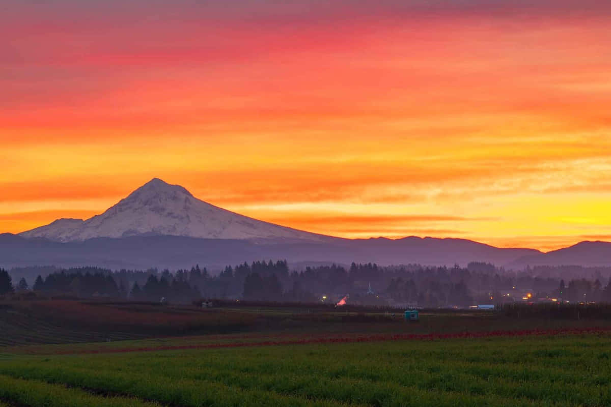 Mount Hood 桌布 壁紙 — 一座白雪覆蓋的山峰在火紅的日落天空下雄偉地聳立，下方是起伏的綠色田野和遠處的樹木。