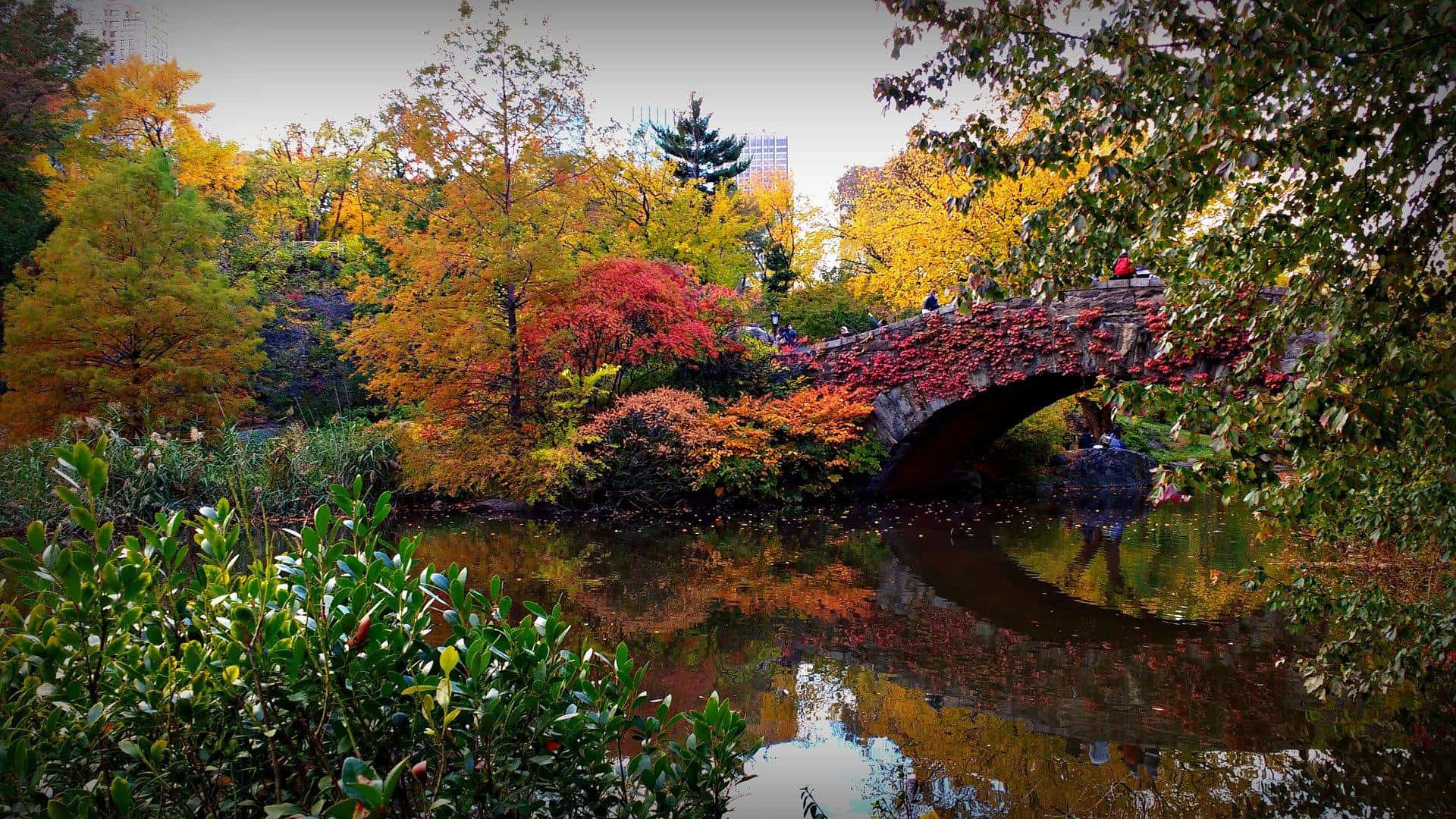 Fall Foliage 桌布 壁紙 — 一座石橋拱跨在平靜的池塘上，周圍鮮豔的秋葉倒映在水中。