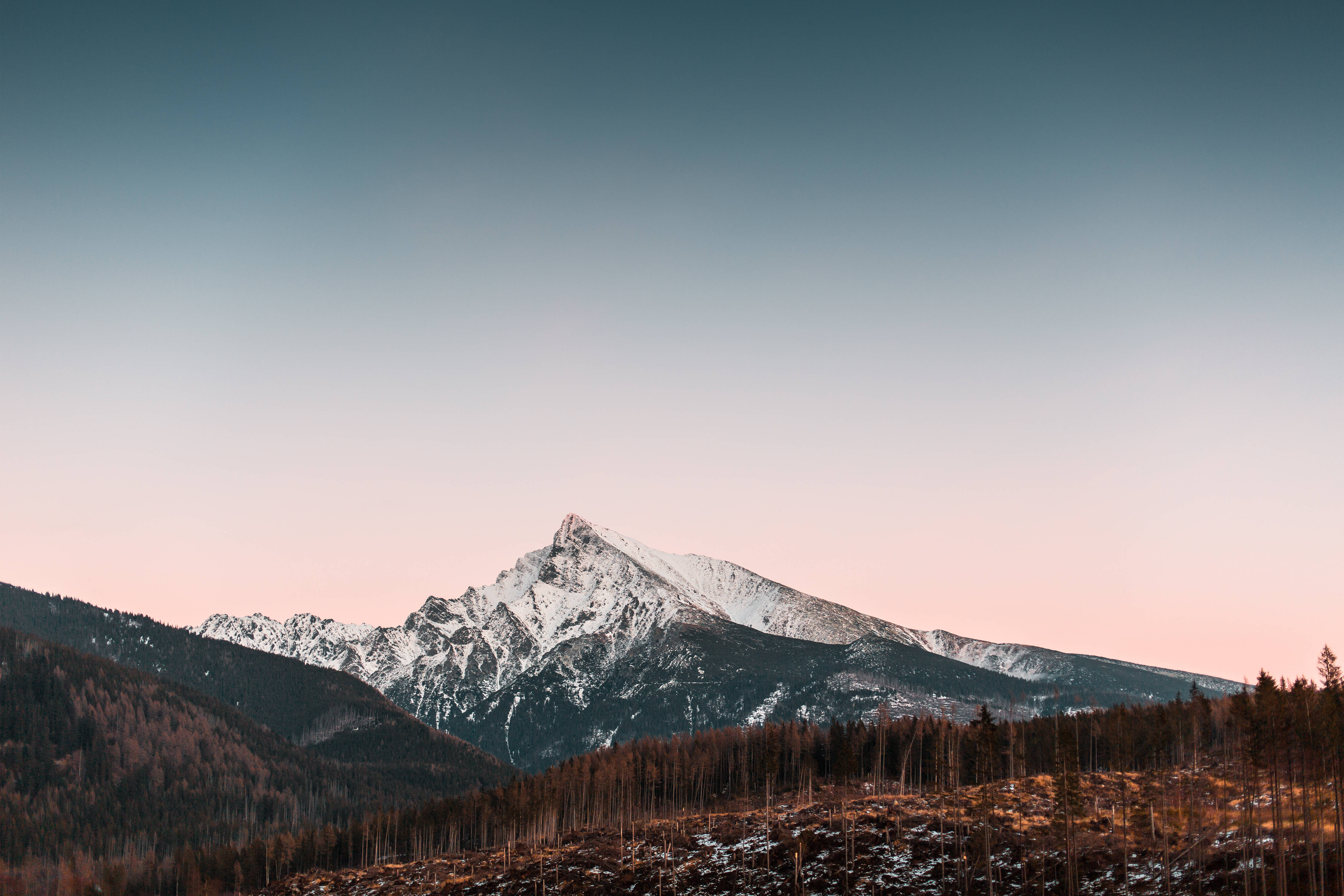HD Scenery 桌布 壁紙 — 一座積雪的山峰在森林覆蓋的山谷上方，在柔和的粉紅色和藍色暮色天空中雄偉地升起。