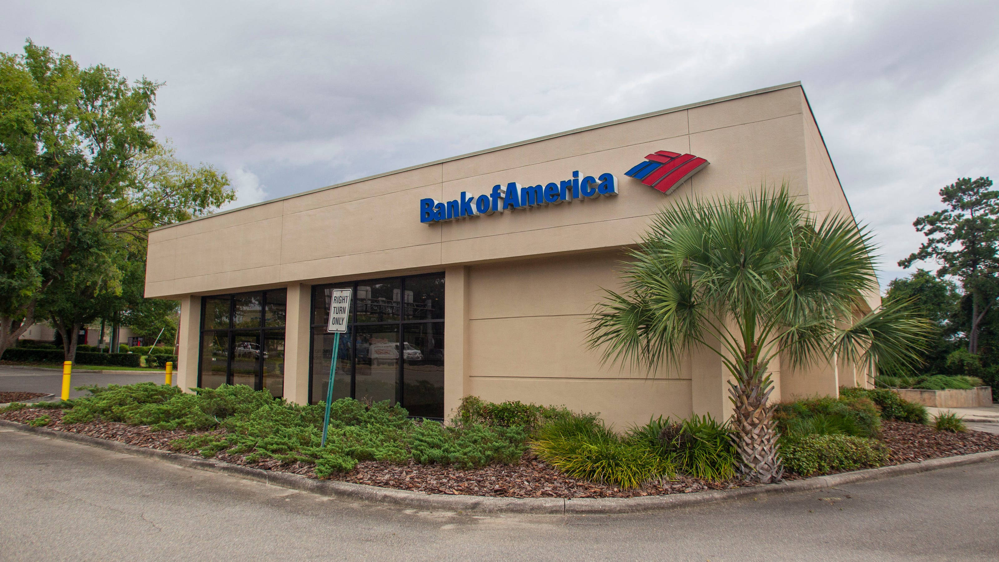 Bank 桌布 壁紙 — 一座米色的美國銀行大樓，棕櫚樹和灌木叢在陰天之下。