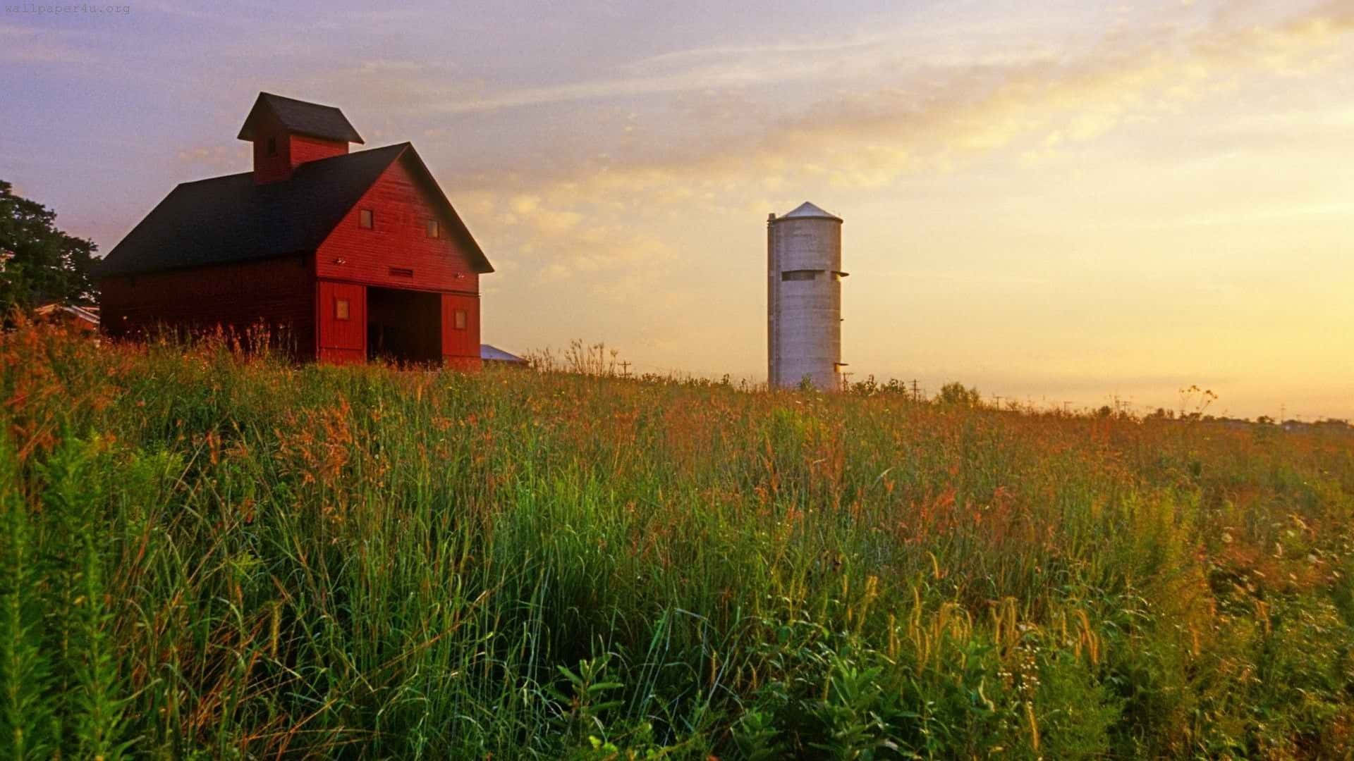 Farmhouse 桌布 壁紙 — 一座紅色穀倉和白色筒倉矗立在柔和的日落天空下高高的金色草叢中。