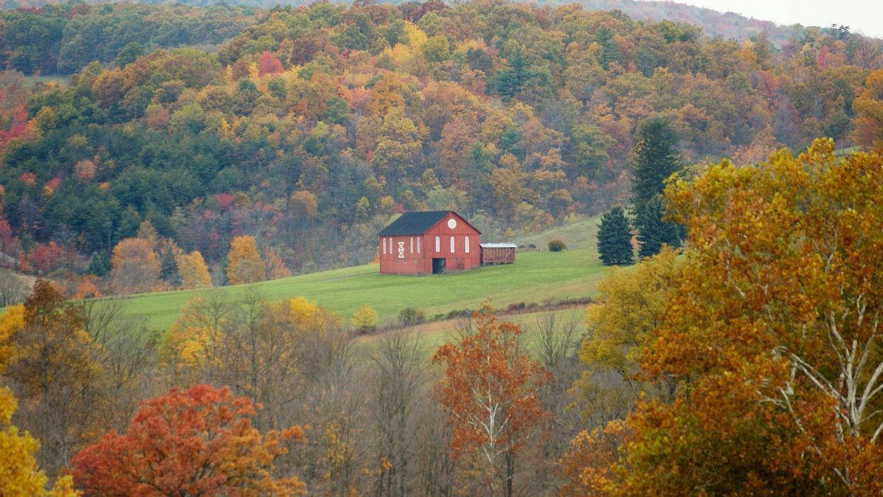 Farmhouse 桌布 壁紙 — 一座紅色穀倉孤零零地矗立在綠色山丘上，周圍是秋日樹木，樹葉呈現火紅的橙色和金色。