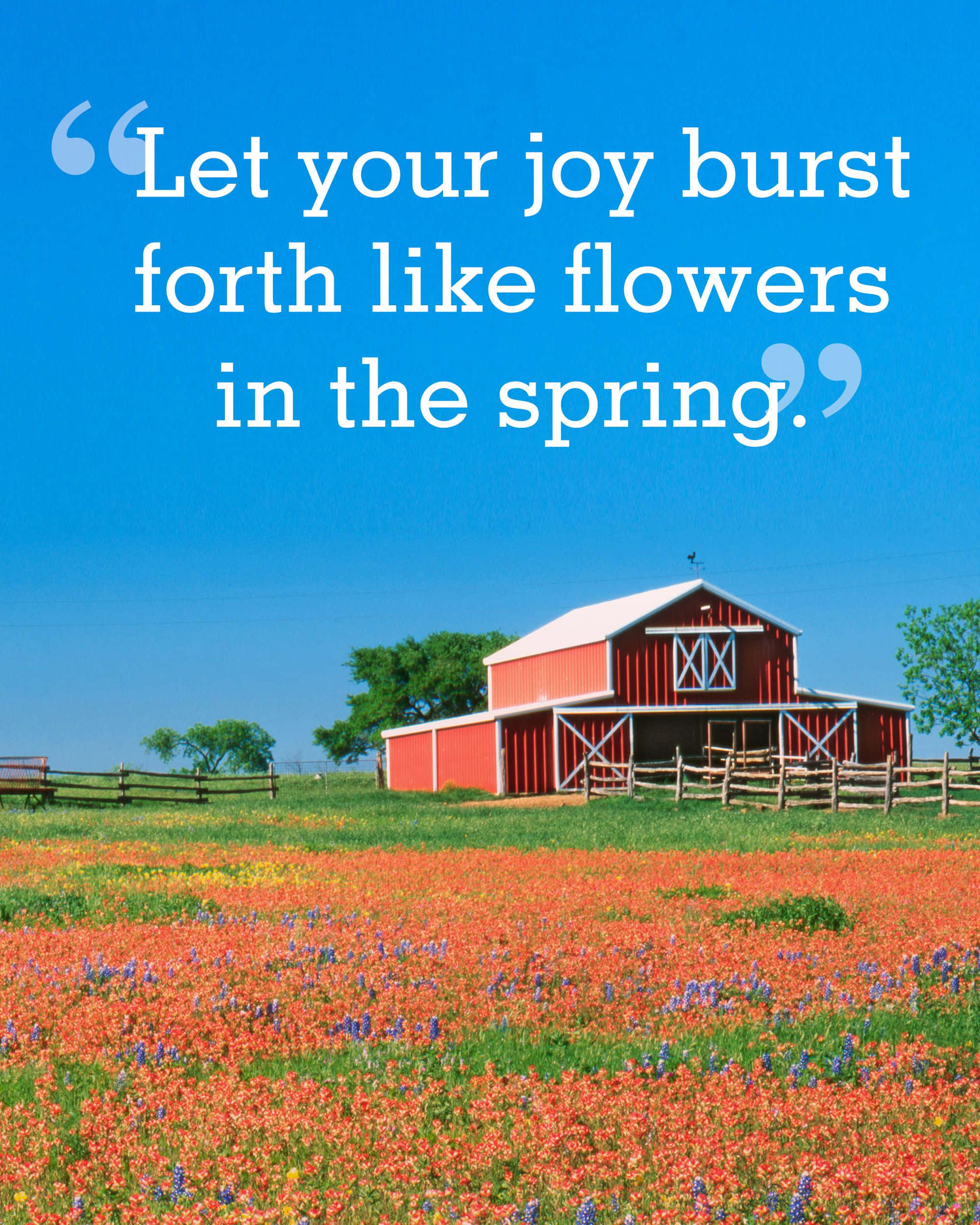 Spring Inspirational 桌布 壁紙 — 一座紅色穀倉矗立在充滿活力的橙色和紫色野花田中，藍天白雲下覆蓋著鼓舞人心的文字。