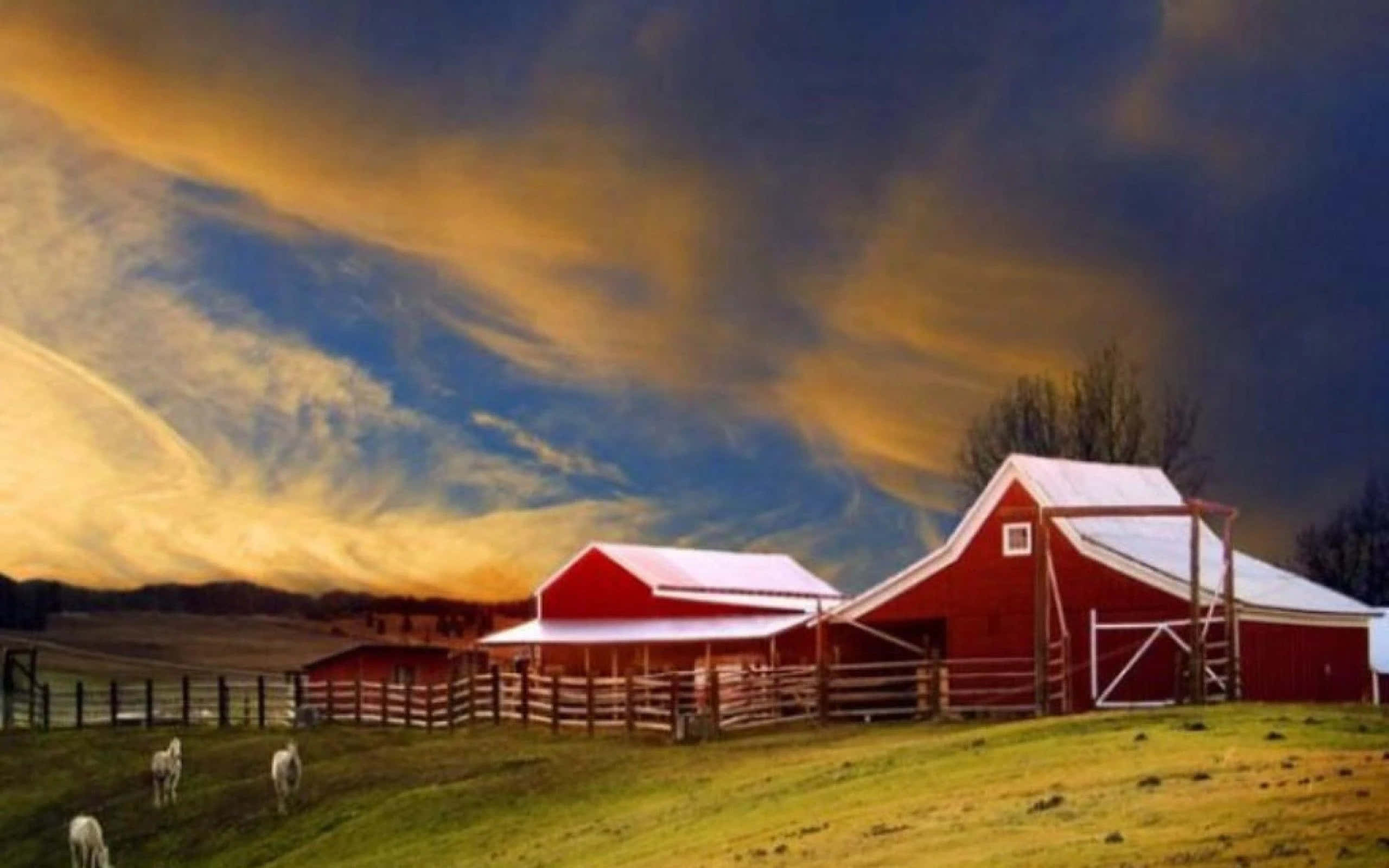 Barn 桌布 壁紙 — 一座紅色穀倉頂部覆蓋著雪，矗立在草地田野中，夕陽下羊群在戲劇性的橙藍天空下吃草。