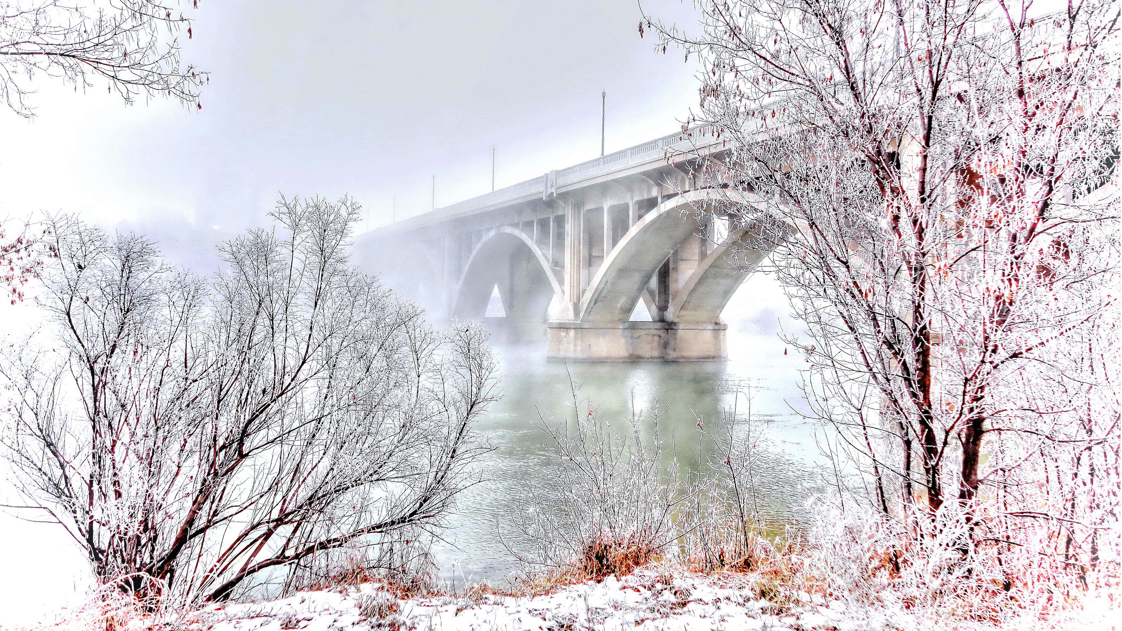 Winter Scenery Desktop 桌布 壁紙 — 一座結霜的冬季橋樑拱起在霧氣瀰漫的河流上，兩旁是積雪的禿樹，天空灰濛濛。