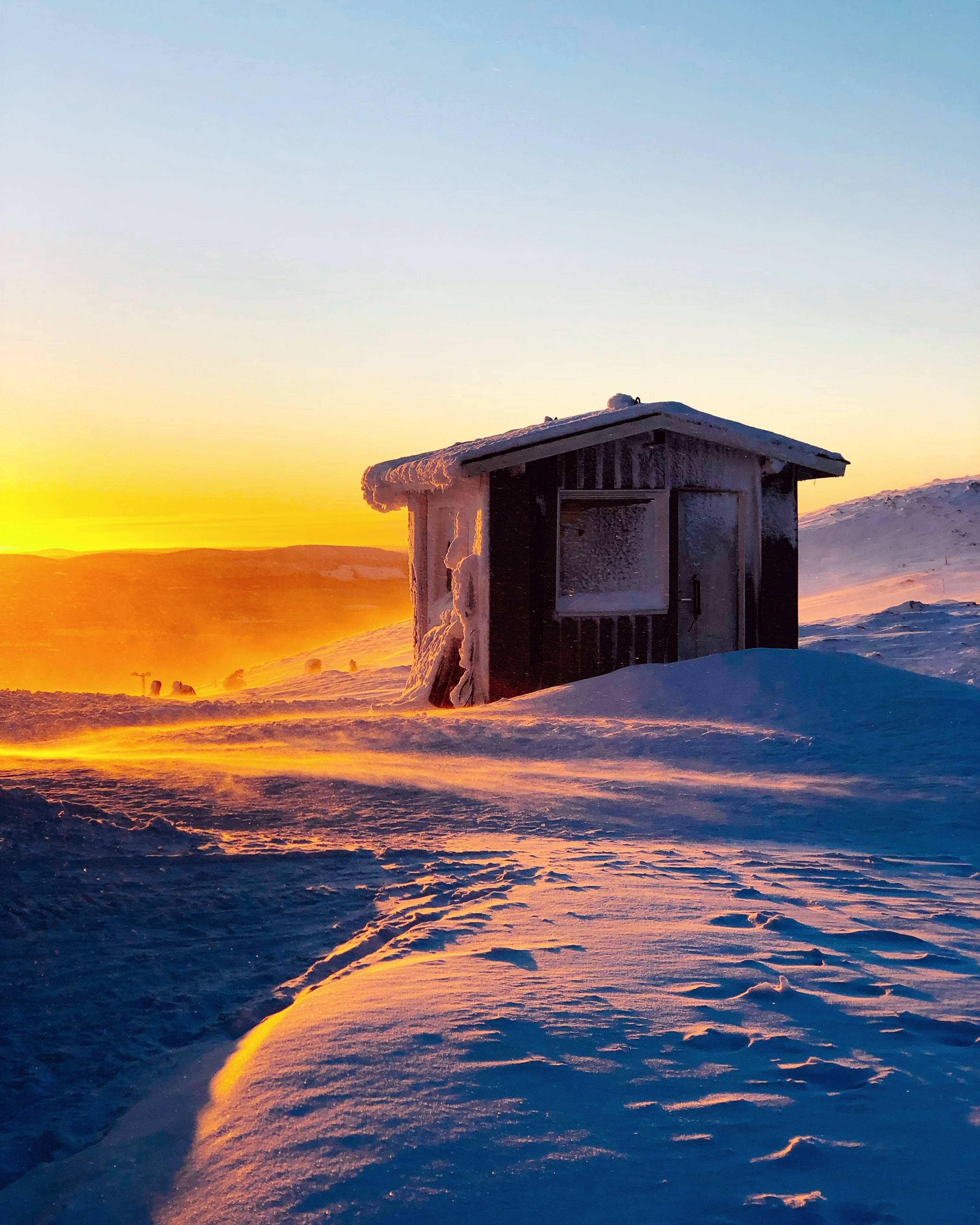 Finland 桌布 壁紙 — 一座結霜的木屋獨自矗立在雪地中，沐浴在金色的日出光芒下。
