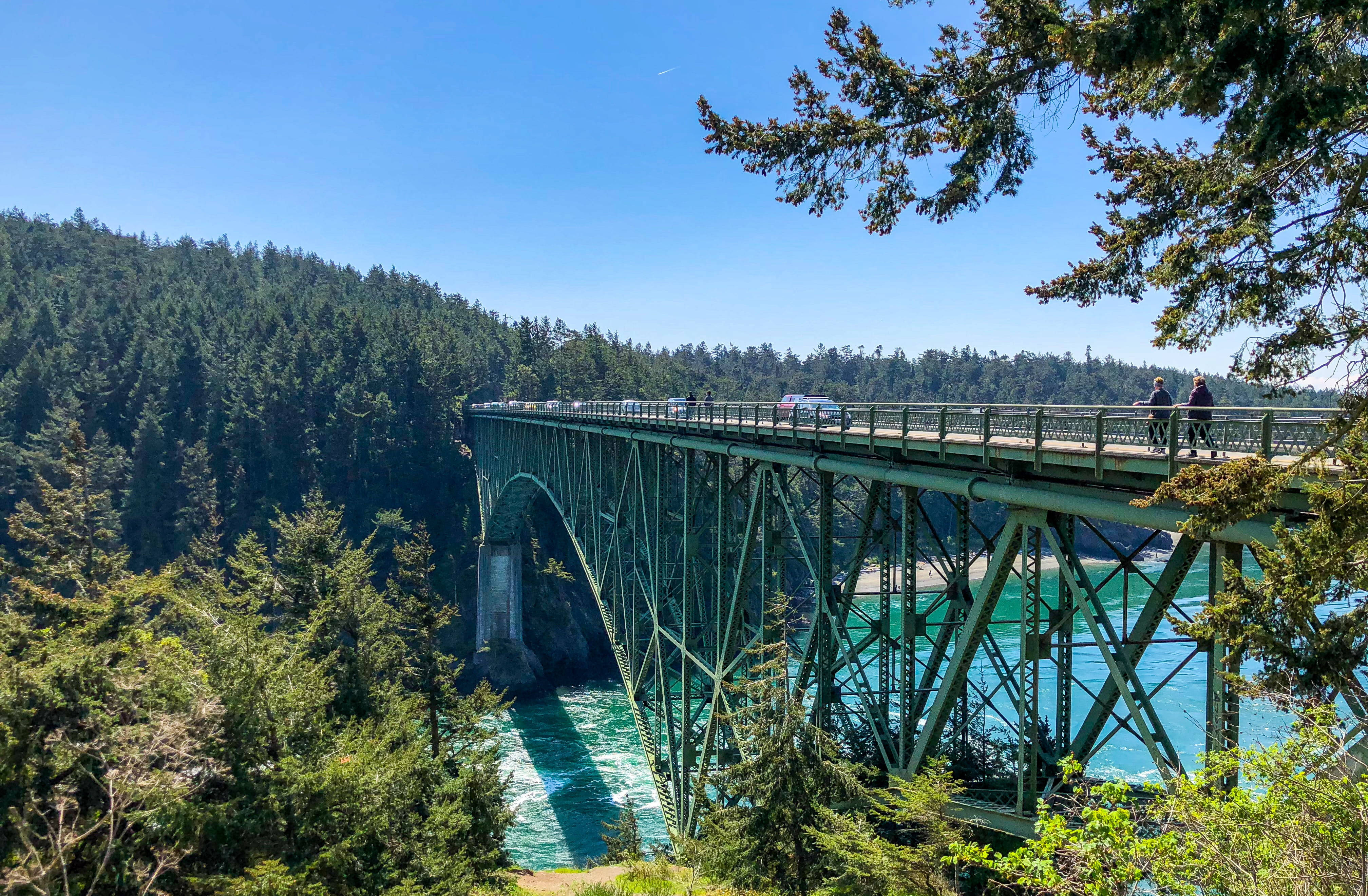 Washington 桌布 壁紙 — 一座綠色鋼拱橋橫跨在碧綠色的河流上，周圍是茂密的常綠森林，天空清澈湛藍。