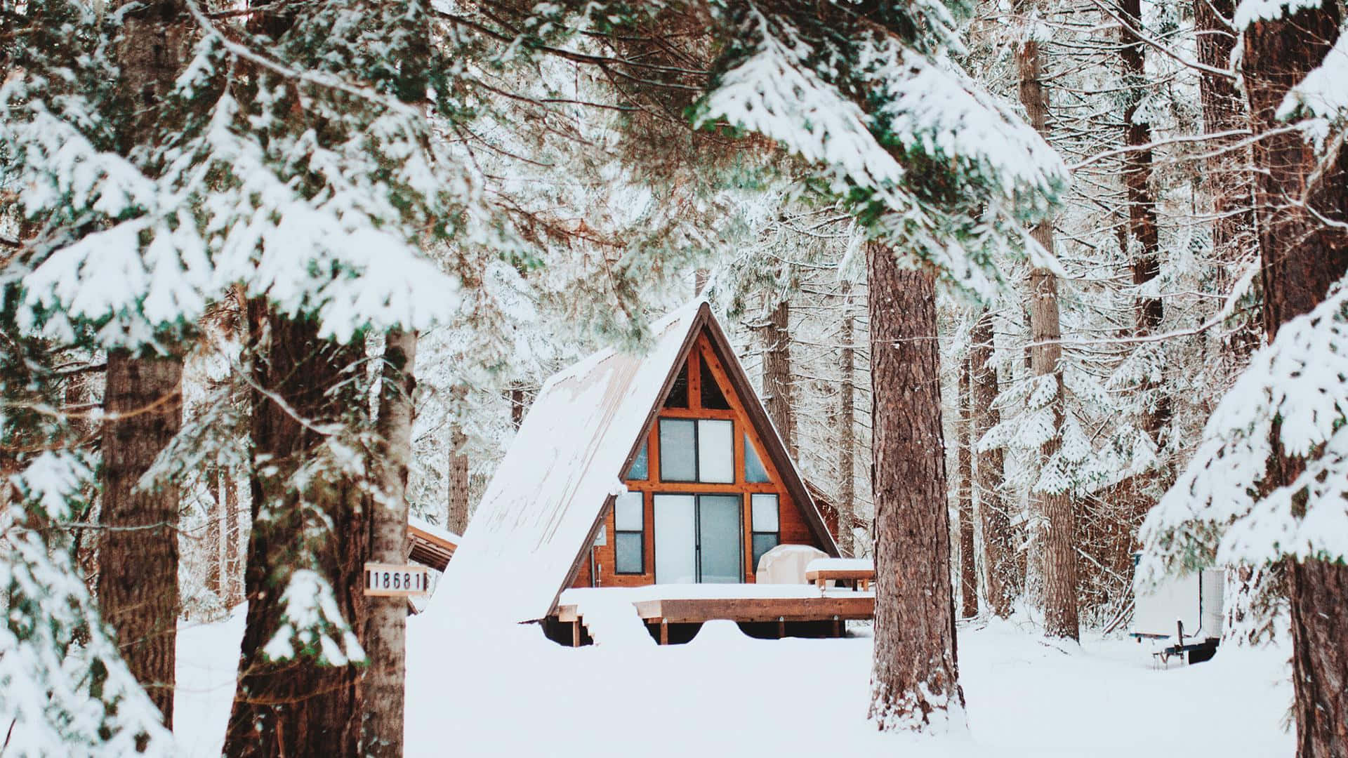 Cozy Winter Cabin 桌布 壁紙 — 一座舒適的木製A字型小屋，坐落在白雪覆蓋的松樹林中，沐浴在柔和的冬日陽光下。