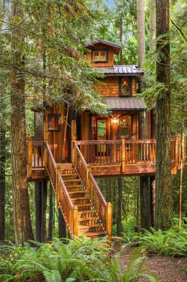Cottage 桌布 壁紙 — 一座舒適的木製樹屋，坐落在高聳的常青樹之間，有樓梯通往溫暖明亮的門廊。