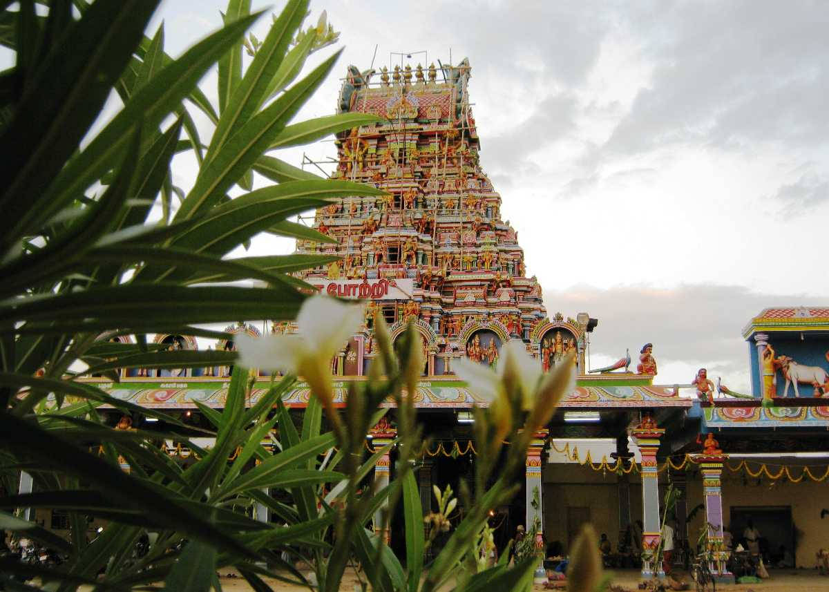 India 桌布 壁紙 — 一座色彩鮮豔、雕刻精美的印度教寺廟塔樓，在陰天之下，聳立於茂密的綠色樹葉和白色花朵之後。