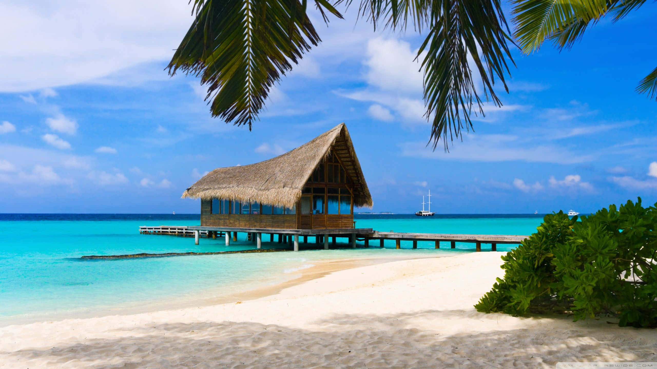 Bahamas Beach 桌布 壁紙 — 一座茅草屋頂的木製水上平房坐落在碼頭上，延伸至棕櫚葉和白色沙灘環繞的碧綠海水之中。