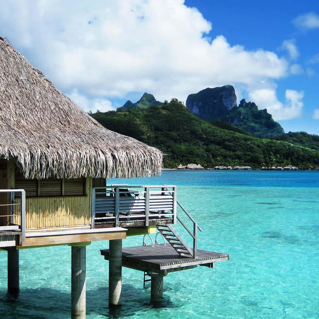 Bora Bora 桌布 壁紙 — 一座茅草屋頂的水上平房建在支柱上，漂浮在清澈碧綠的水面上，背景是鬱鬱蔥蔥的綠色山脈，在明亮的藍天下聳立。