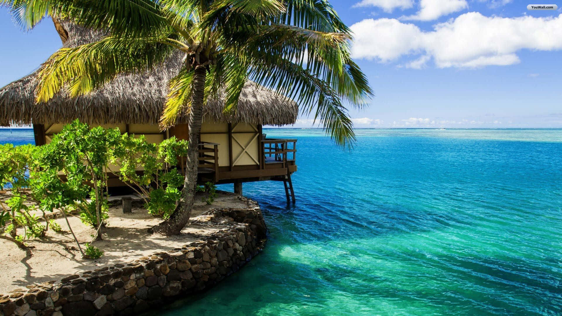 Maldives Beach 桌布 壁紙 — 一座茅草屋頂的熱帶平房，坐落在岩石海岸上，旁邊是碧綠的海水，上方是明亮的藍天和蓬鬆的白雲。