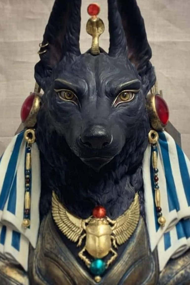 Egyptian Gods 桌布 壁紙 — 一座莊嚴的黑色胡狼頭雕像，飾有黃金珠寶和紅色寶石，背景為中性色調。