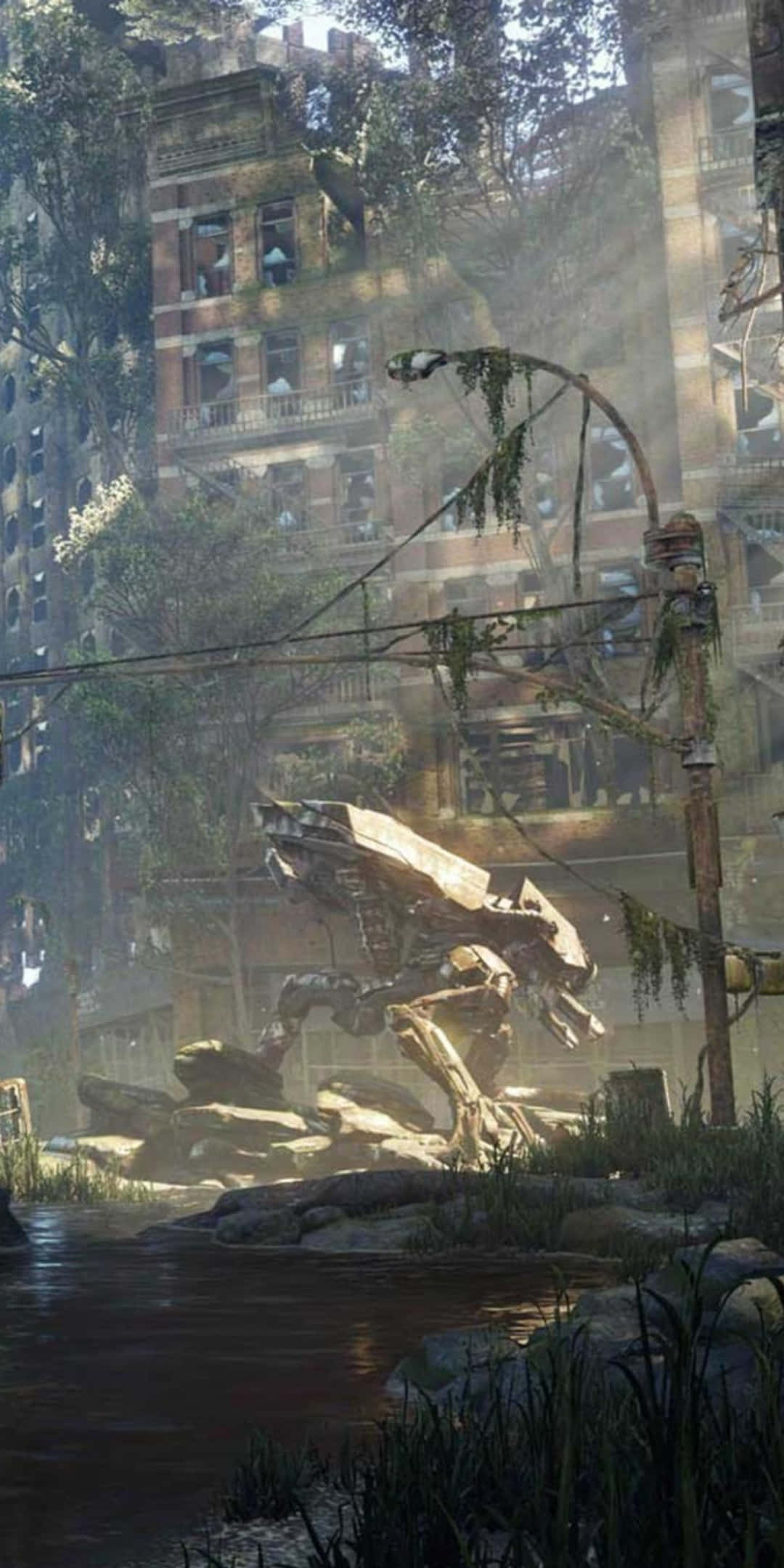Pixel 3 Crysis 3 桌布 壁紙 — 一座被植物覆蓋的城市廢墟，有長滿苔蘚的建築物和一條破爛的路燈，旁邊是一條渾濁的小溪。