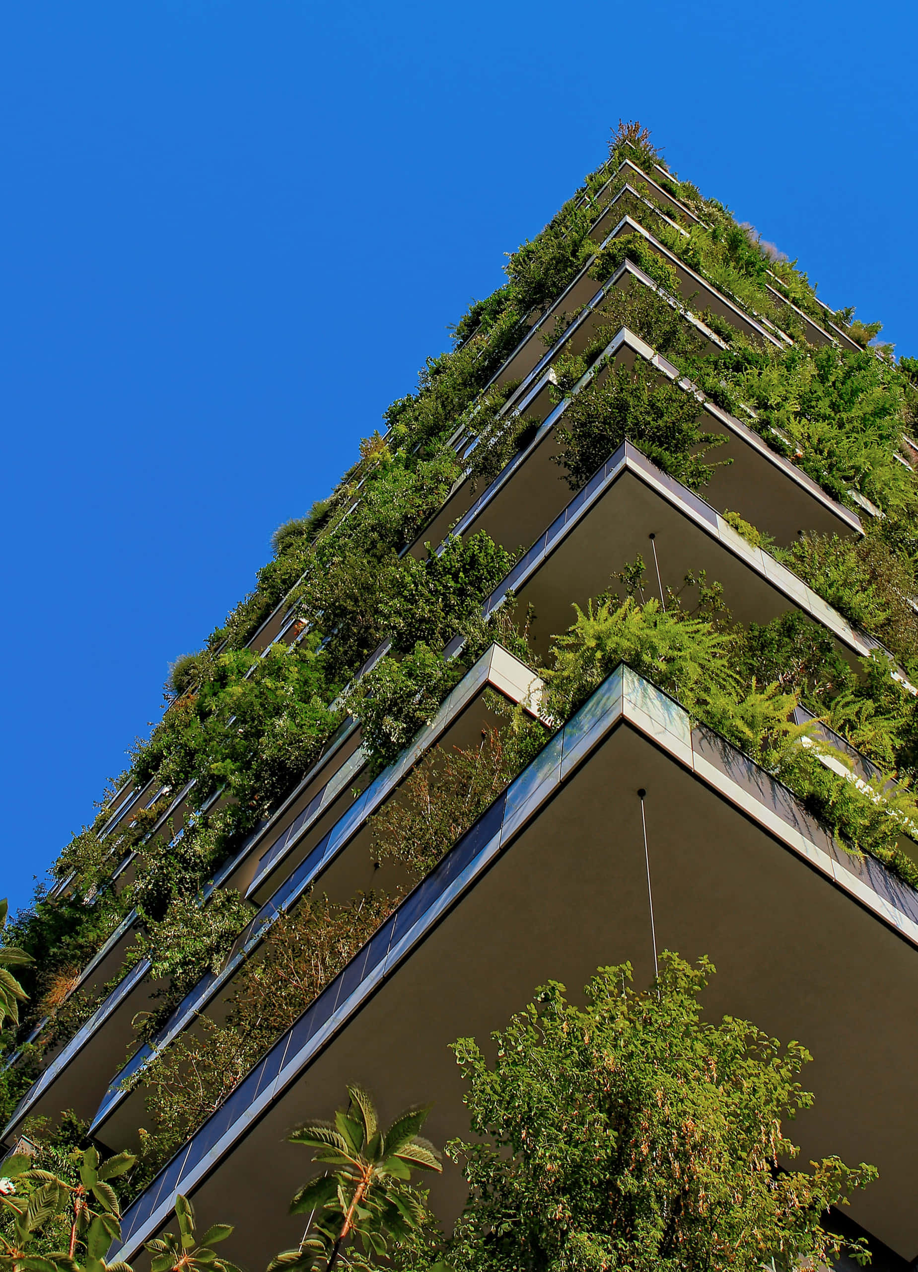 Green Buildings 桌布 壁紙 — 一座被茂密綠植覆蓋的現代摩天大樓在清澈的藍天下巍然聳立。