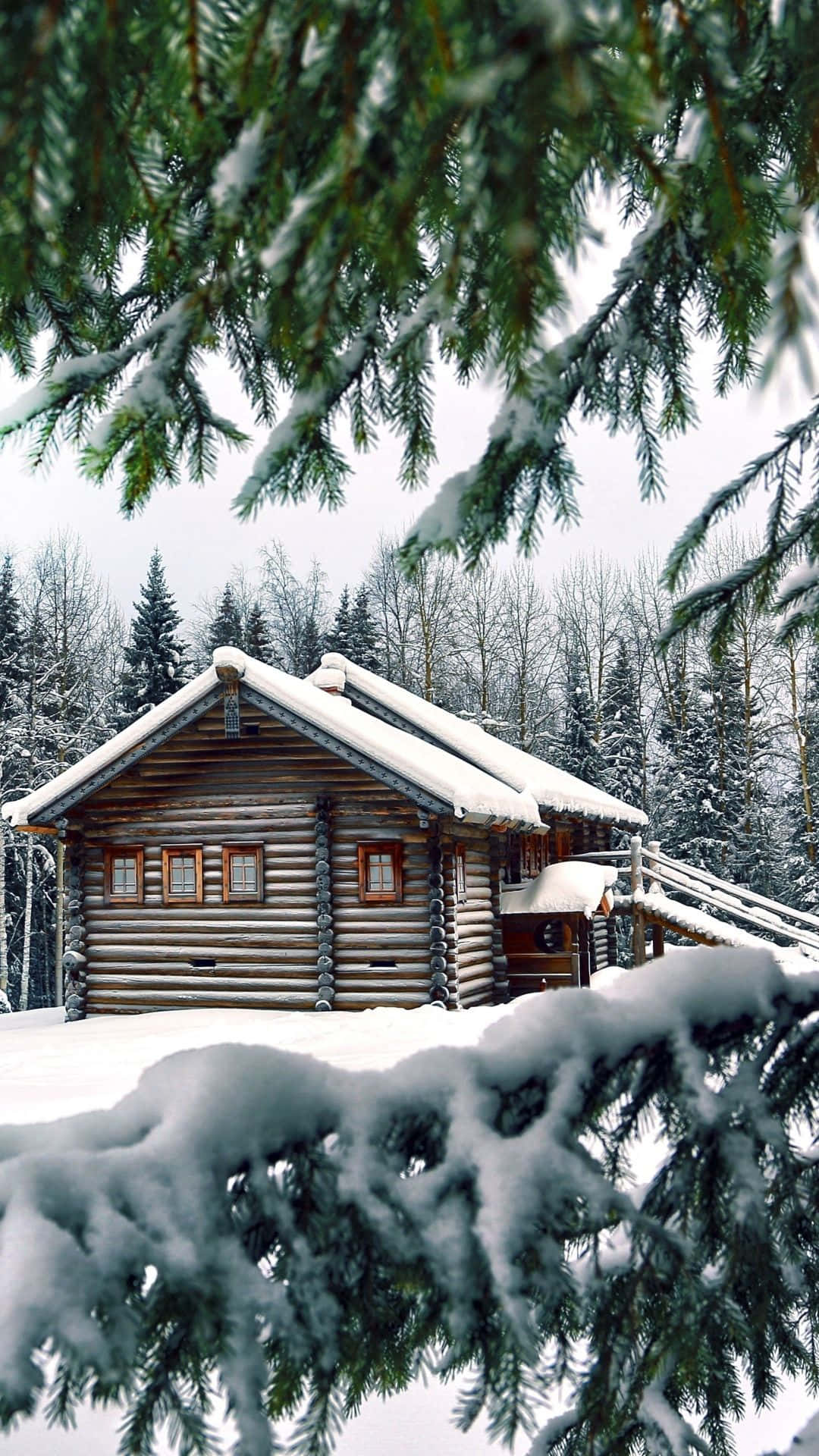 Home 桌布 壁紙 — 一座被雪覆蓋的木屋，坐落在冬季森林中，周圍是掛滿雪的松樹枝。
