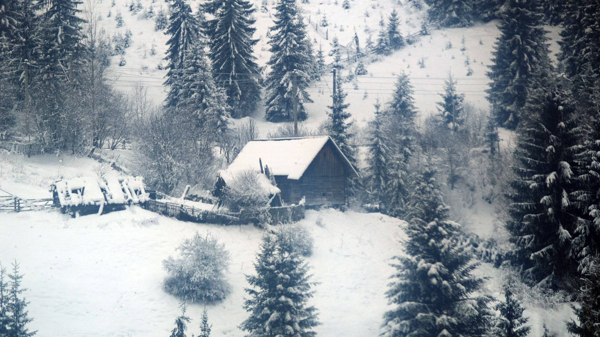 風景 桌布 壁紙 — 一座被雪覆蓋的木屋，坐落在寧靜冬日山坡上的常綠樹叢中。