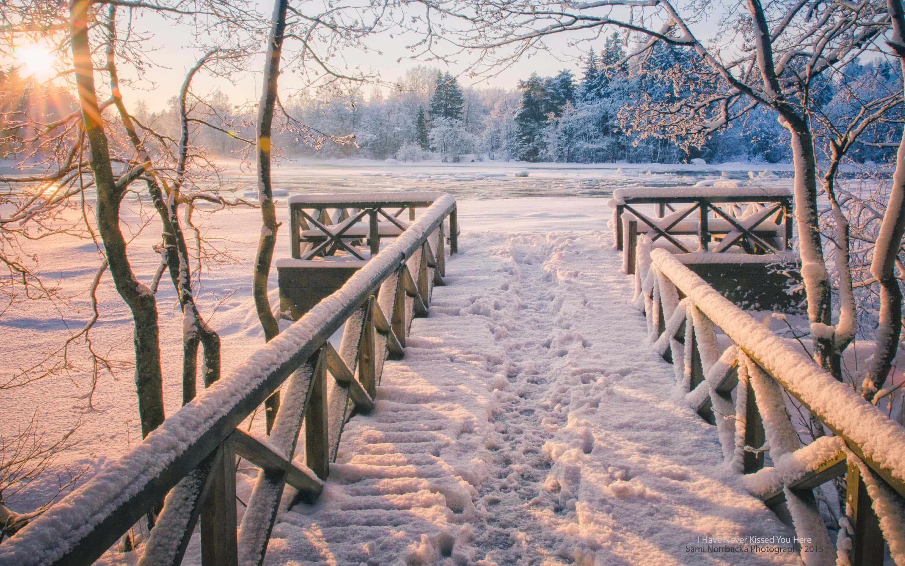 Beautiful Winter 桌布 壁紙 — 一座被雪覆蓋的木橋在日出時穿過結冰的湖泊，光禿禿的樹木上結滿了霜。