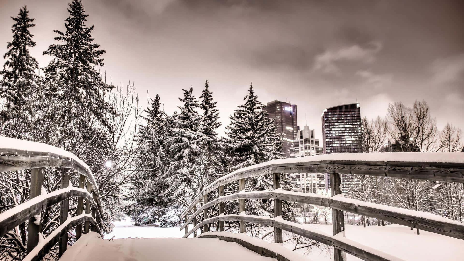 Winter Cityscape 桌布 壁紙 — 一座被雪覆蓋的木橋蜿蜒穿過冬季森林，高大的松樹和遠處的城市天際線清晰可見。