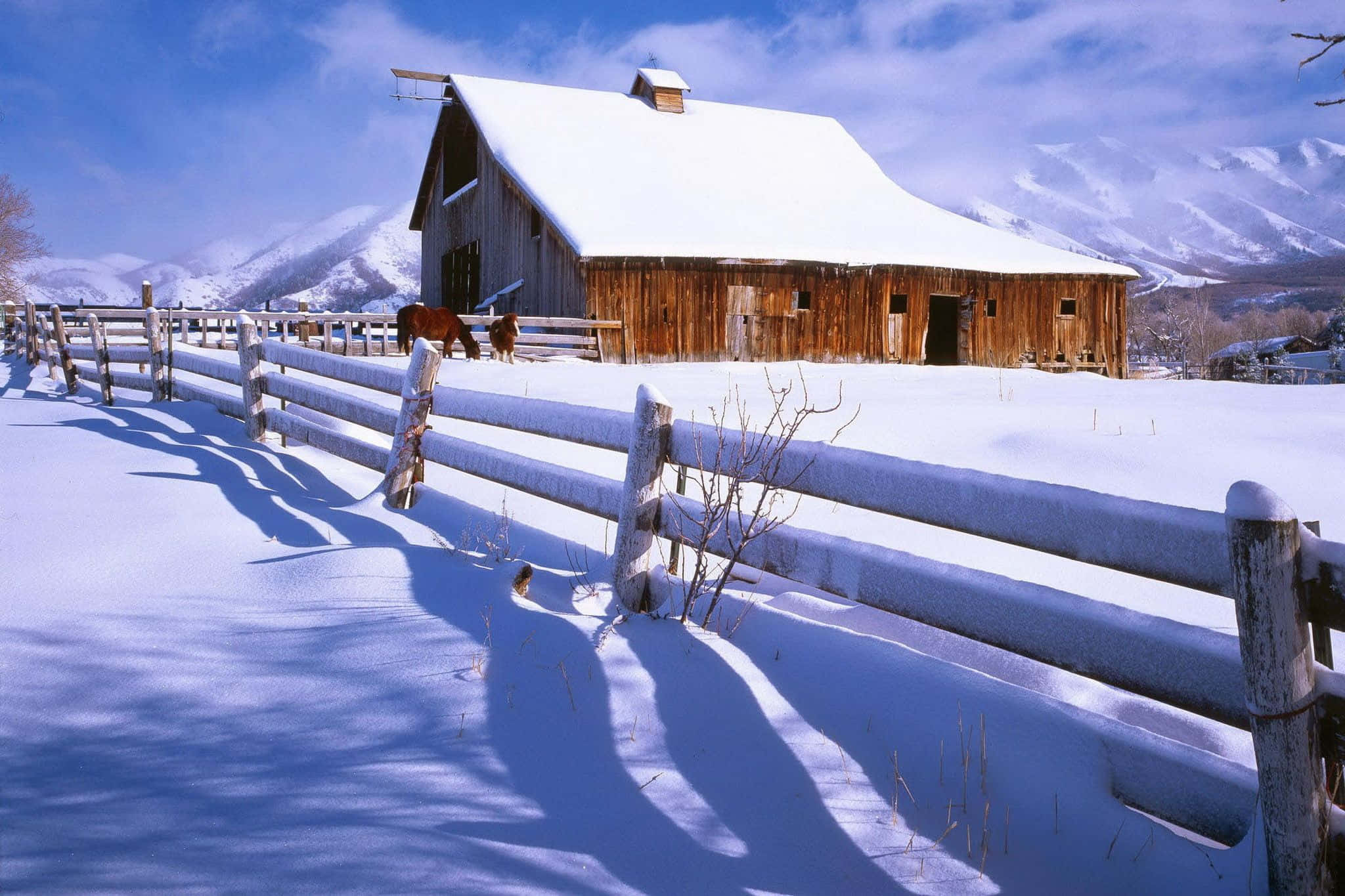 Winter Scene 桌布 壁紙 — 一座被雪覆蓋的木製穀倉，馬匹在柵欄後吃草，背景是明亮的藍天和遠處的雪山。