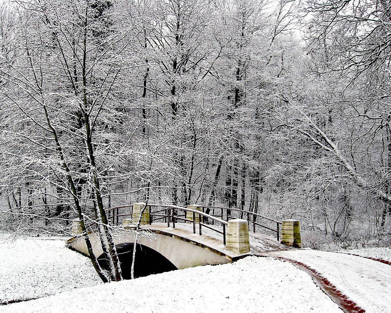 公園 桌布 壁紙 — 一座被雪覆蓋的石橋拱跨在一條結冰的小溪上，周圍是寂靜的冬季森林，樹木光禿禿的。