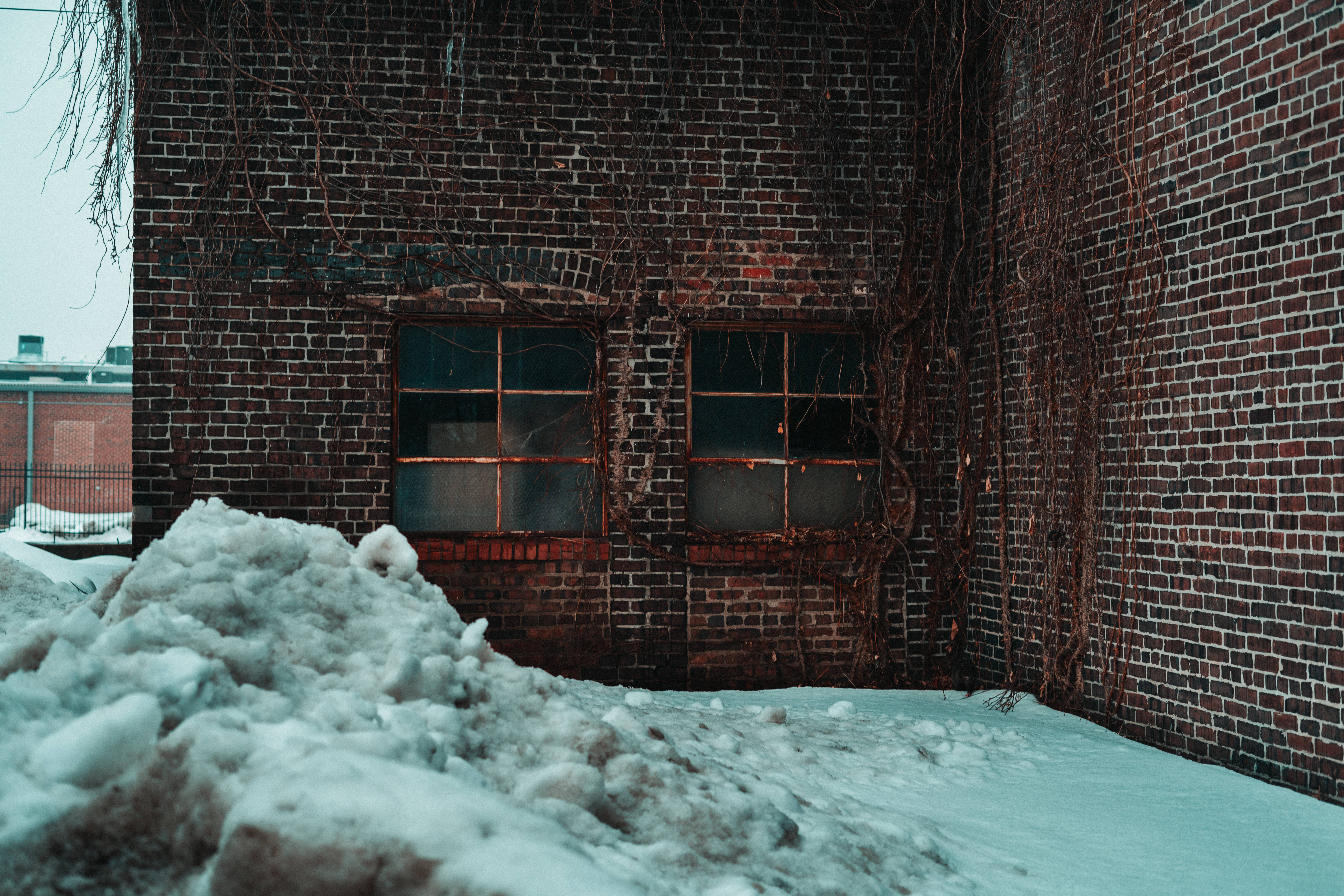 Windows 冬季 桌布 壁紙 — 一座被雪覆蓋的磚砌建築，窗戶破損，藤蔓纏繞，呈現冬日景象。