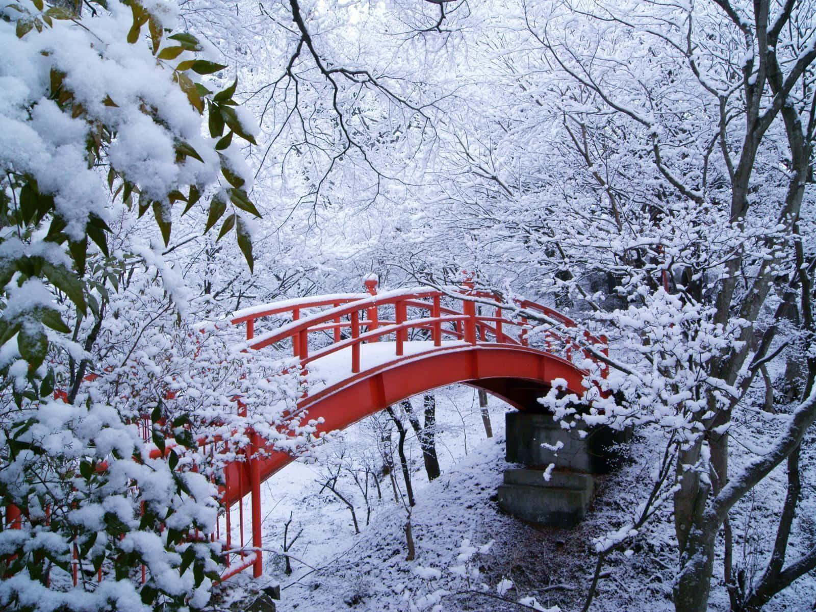 冬季 桌布 壁紙 — 一座被雪覆蓋的鮮紅色拱橋橫跨寧靜的冬季森林，樹木光禿，枝條上掛滿積雪。