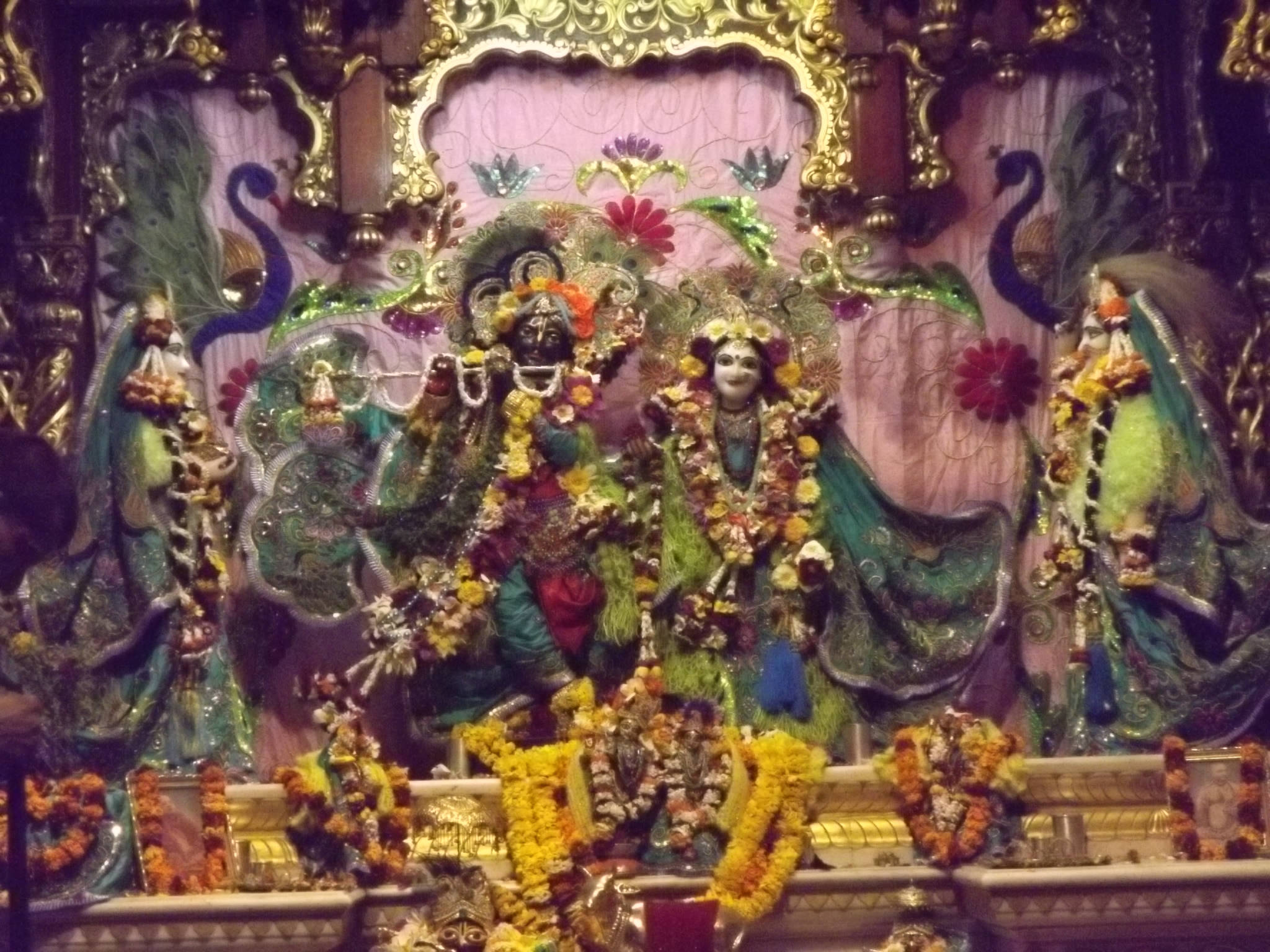 krishna god 桌布 壁紙 — 一座裝飾華麗的印度教寺廟神龕，內有精緻的神像，在溫暖的燈光下飾以色彩繽紛的鮮花和金色點綴。