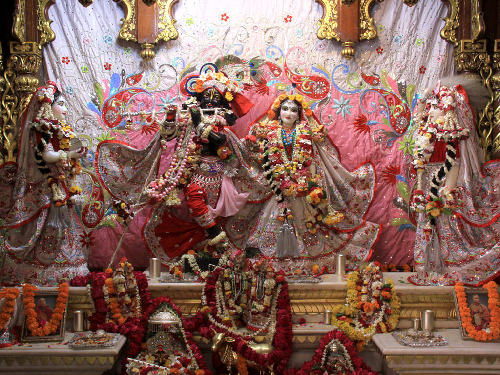 krishna god 桌布 壁紙 — 一座裝飾華麗的印度教寺廟聖殿，飾有色彩鮮豔的花朵和金色裝飾的華麗神像。