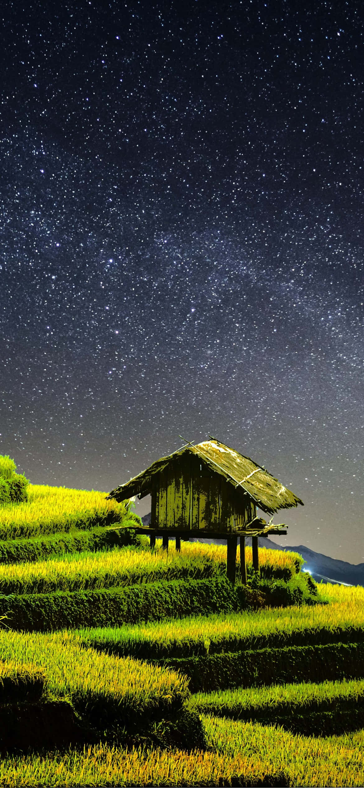Farming 桌布 壁紙 — 一座質樸的木屋坐落在梯田上，上方是令人驚嘆的密集星空。