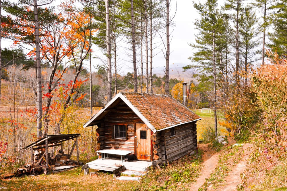 Fall Cabin 桌布 壁紙 — 一座質樸的木屋坐落在森林中，周圍有秋葉和石煙囪。