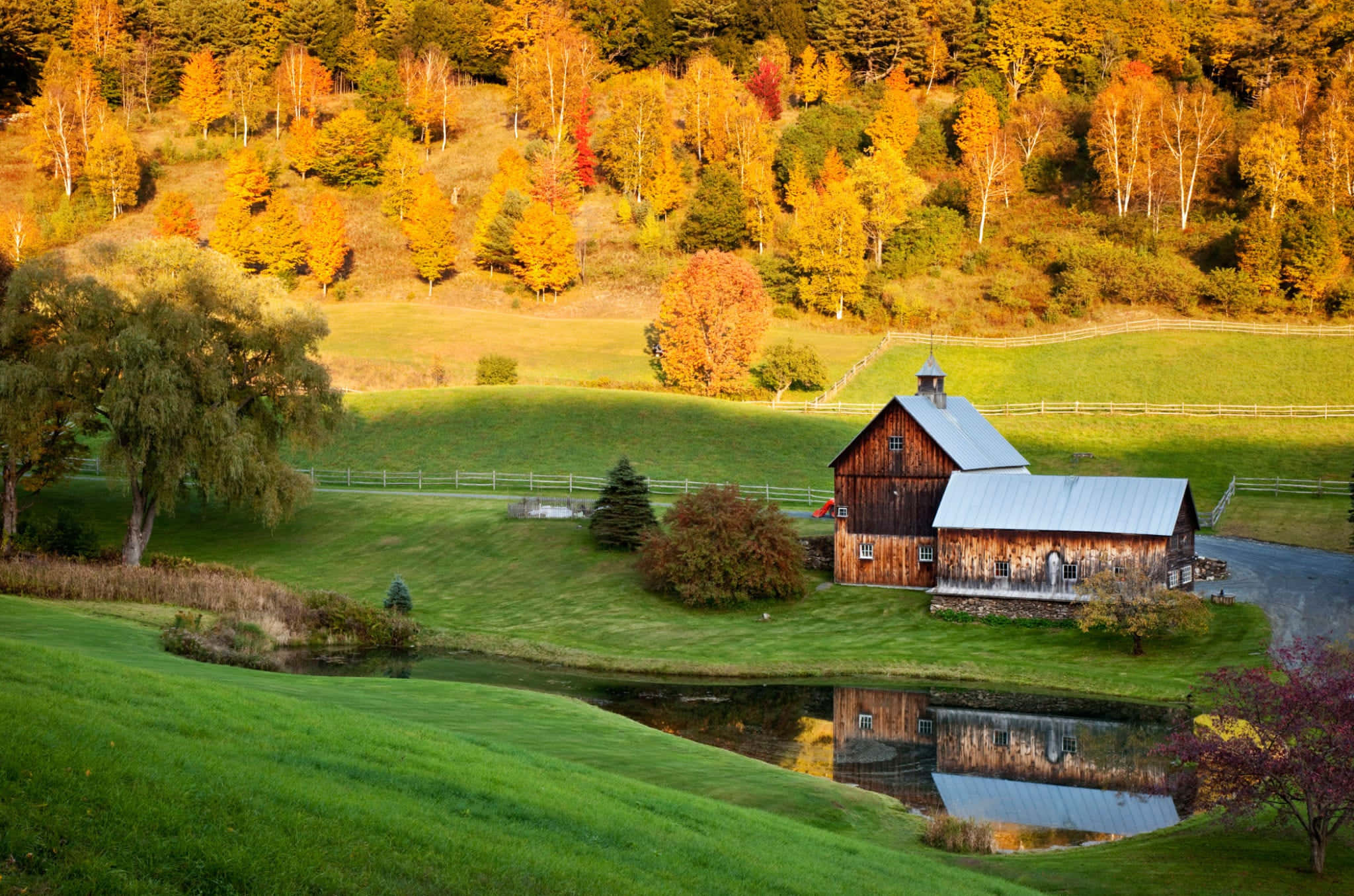 Fall Barn 桌布 壁紙 — 一座質樸的木製穀倉，金屬屋頂，坐落於平靜的池塘旁，池塘映照著陽光普照的山坡上金黃色的秋樹。