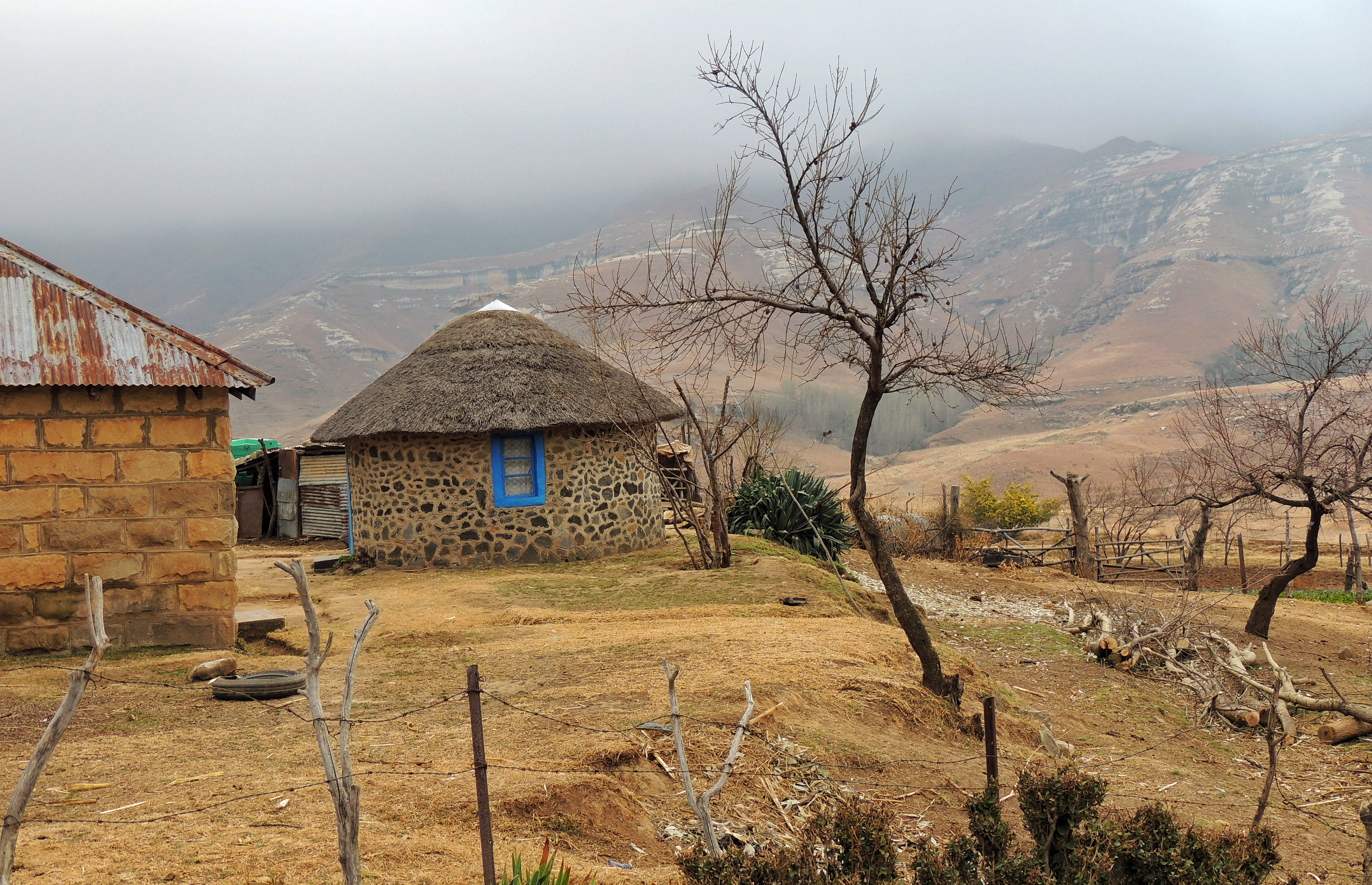 Lesotho 桌布 壁紙 — 一座質樸的石屋，茅草屋頂和藍色窗戶，坐落在乾燥的山谷中，天空霧濛濛，有光禿的樹木和遠山。