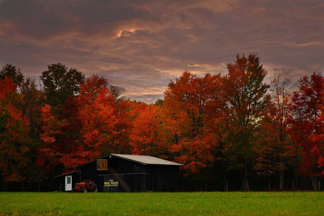 Fall Barn 桌布 壁紙 — 一座質樸的穀倉坐落在充滿活力的秋日田野中，火紅的樹木在暗橙色的天空下閃耀。