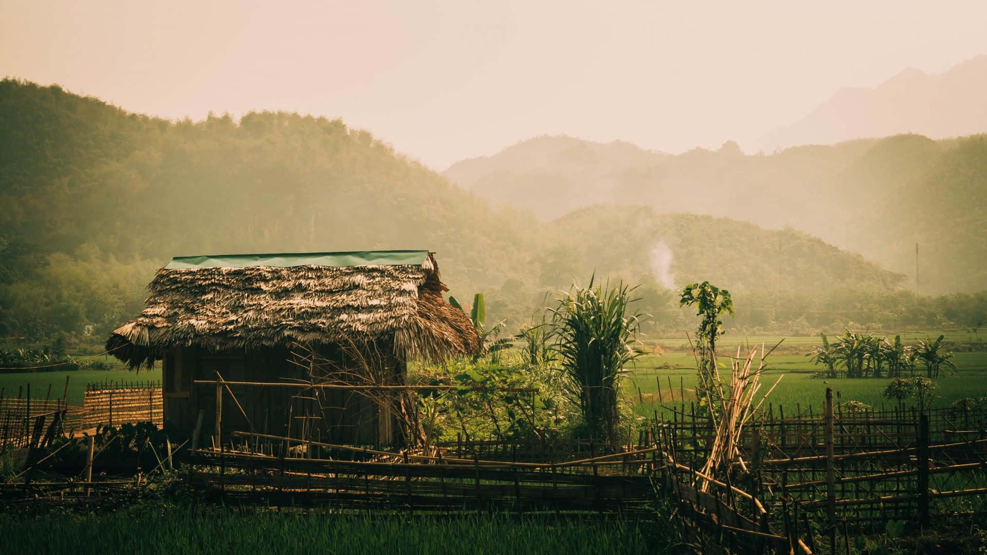 Farm 桌布 壁紙 — 一座質樸的茅草小屋坐落在霧氣瀰漫的山谷中，周圍是鬱鬱蔥蔥的綠色稻田和遠處的森林山脈，正值黃金時刻。