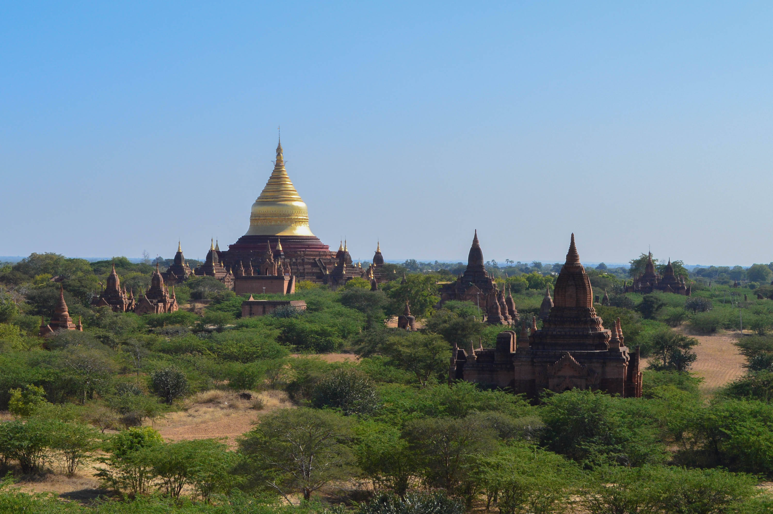 Burma 桌布 壁紙 — 一座金色佛塔聳立在古老磚砌寺廟之上，寺廟被茂密的綠樹環繞，背景是清澈的藍天。