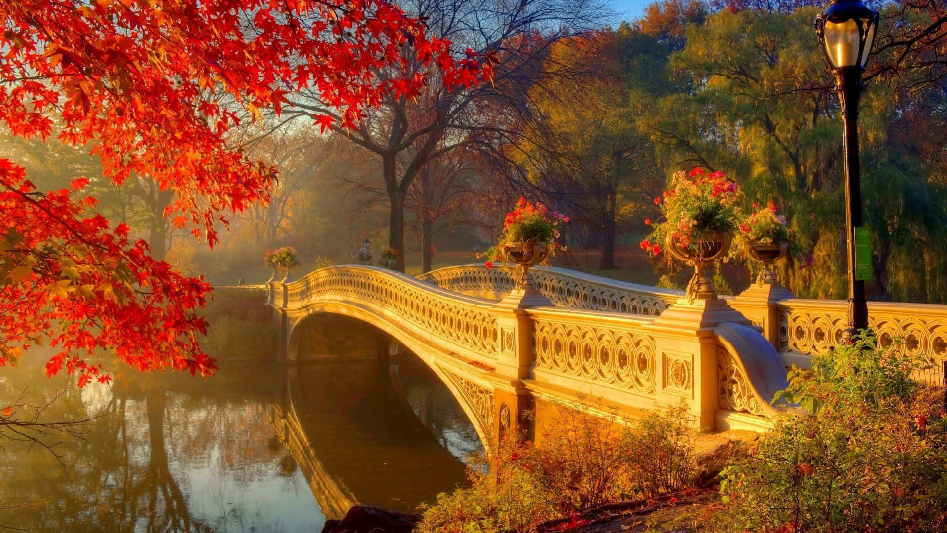 New England Autumn 桌布 壁紙 — 一座金色秋橋拱跨於霧氣瀰漫的池塘之上，四周環繞著火紅的楓葉和華麗的路燈。